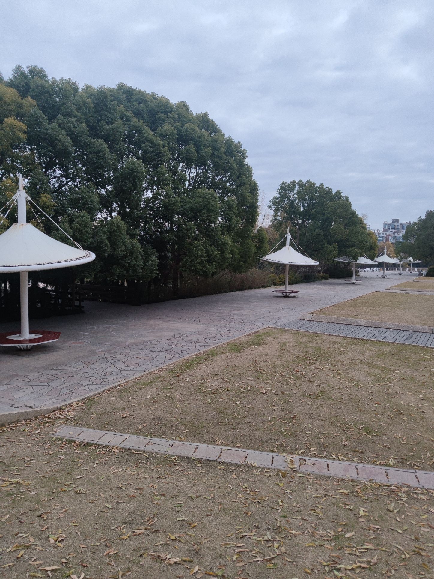 鲱亭膜拉陀旅行图片 1