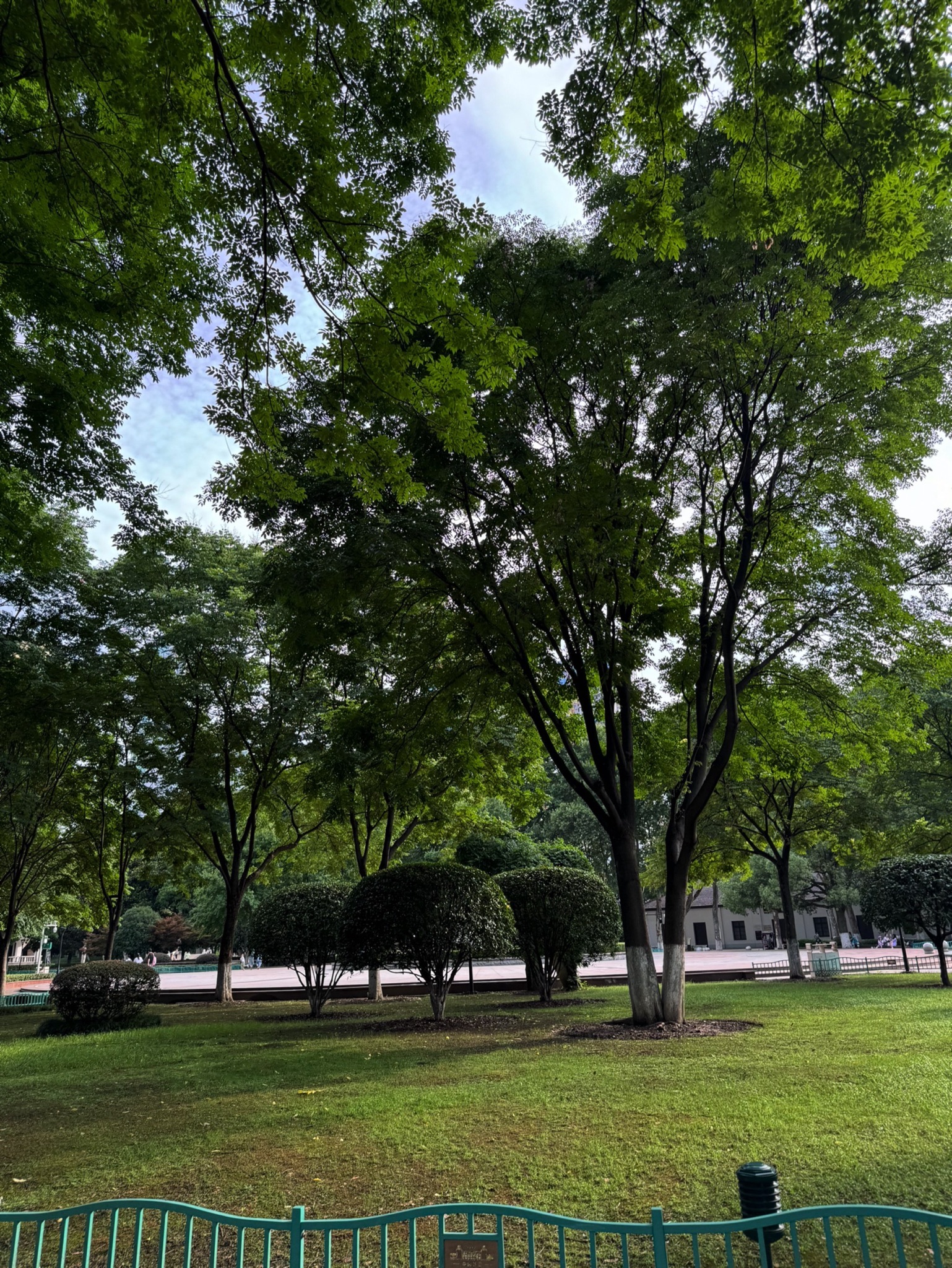 玉其塔什景区旅行图片 1