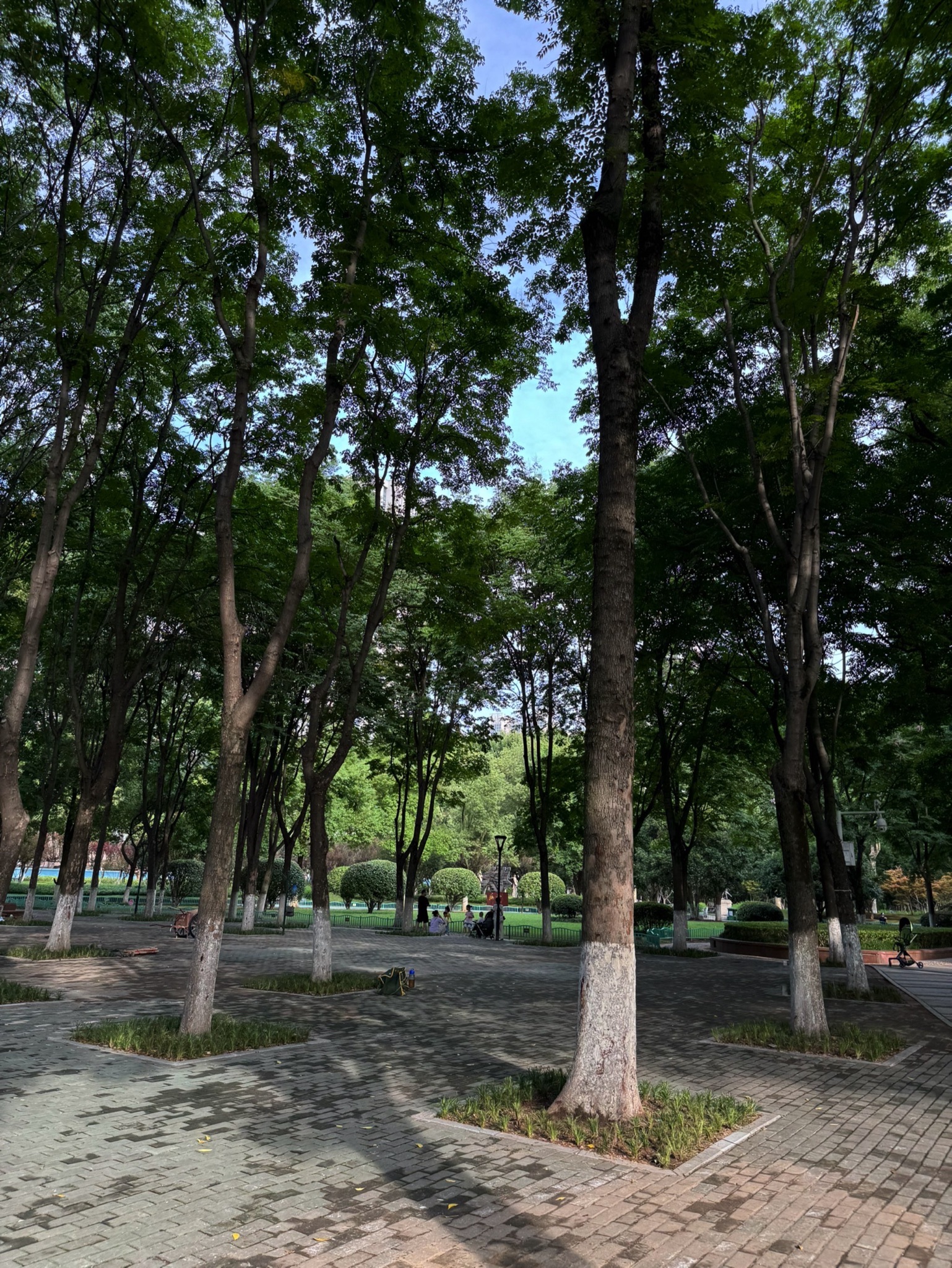 玉其塔什景区旅行图片 2