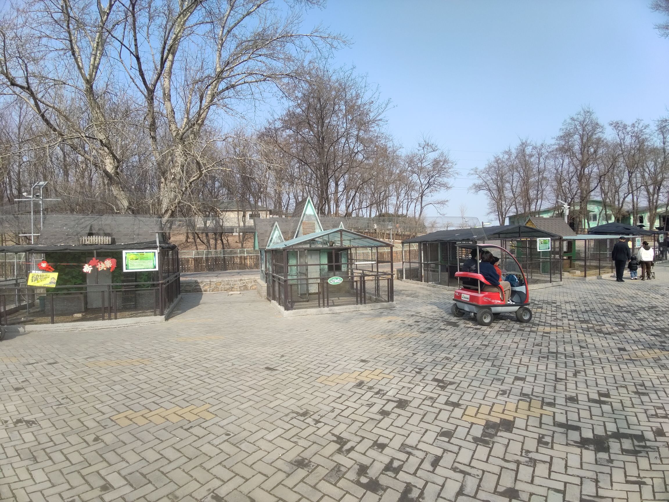 小动物村