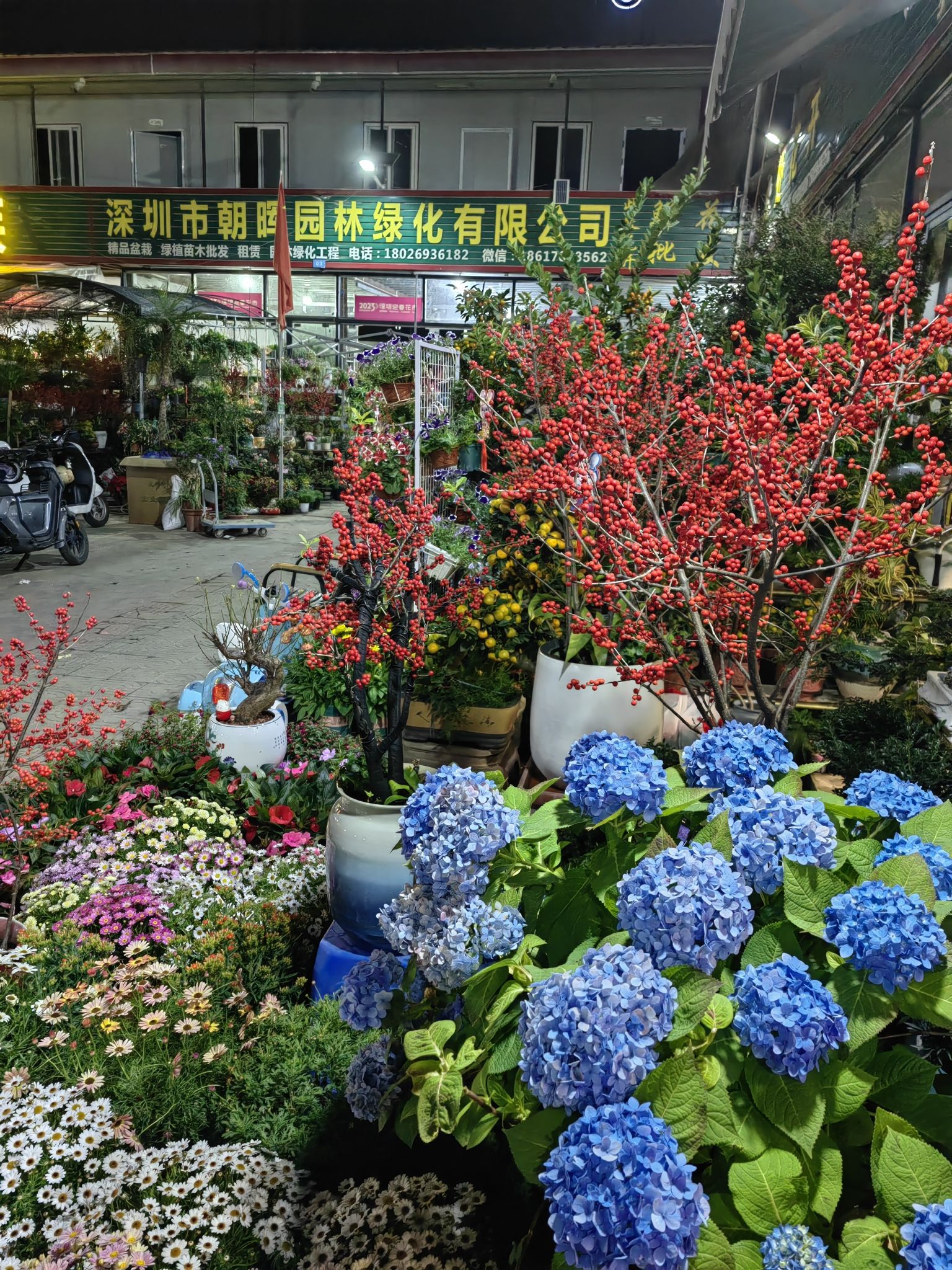 坂田花博园花卉中心