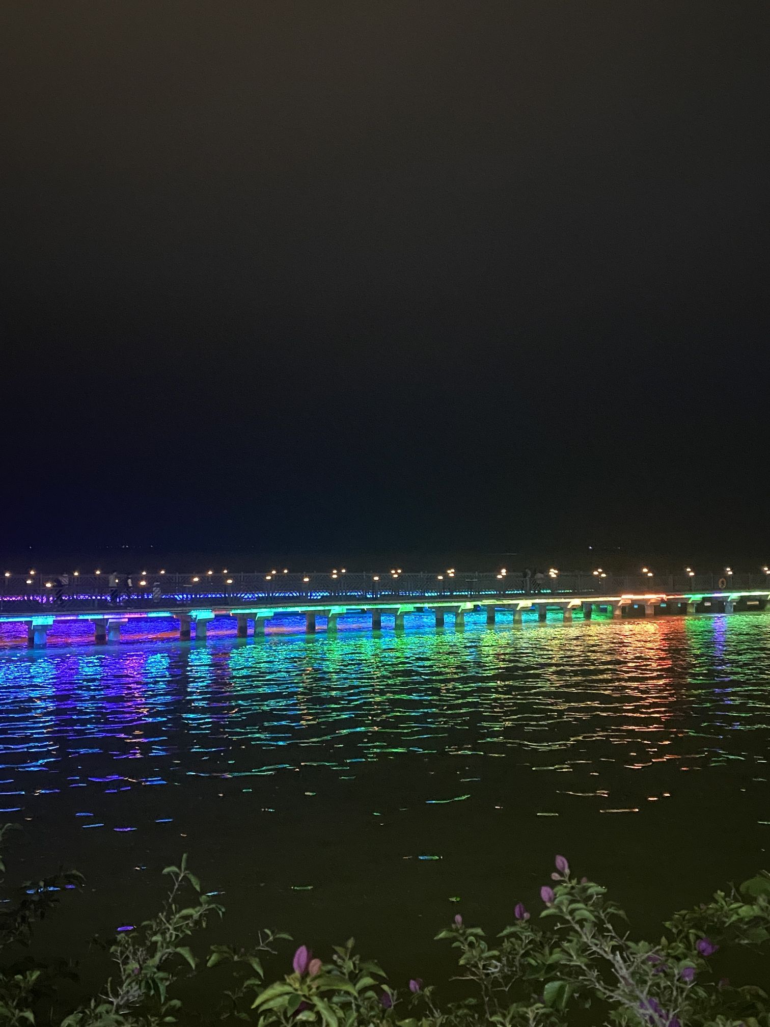 汕尾市品清湖碧道-海上栈道旅行图片 3