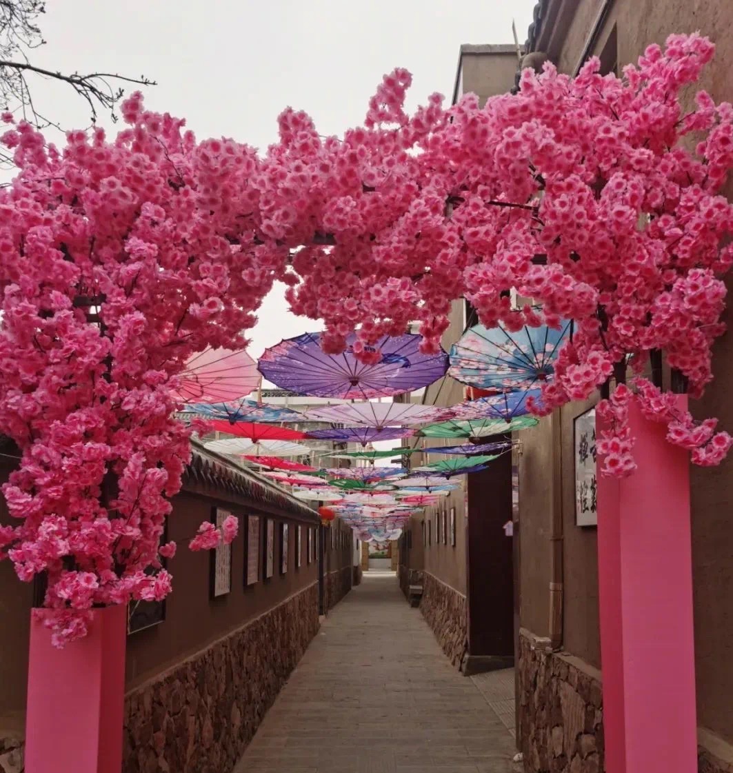 陆浑故城旅行图片 2