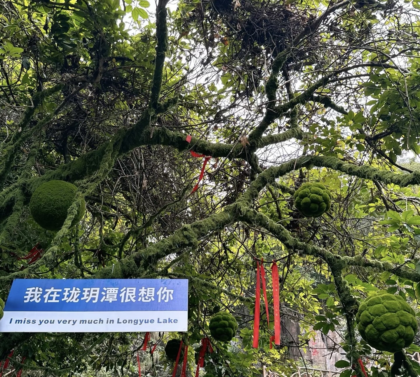 珑玥潭旅行图片 1