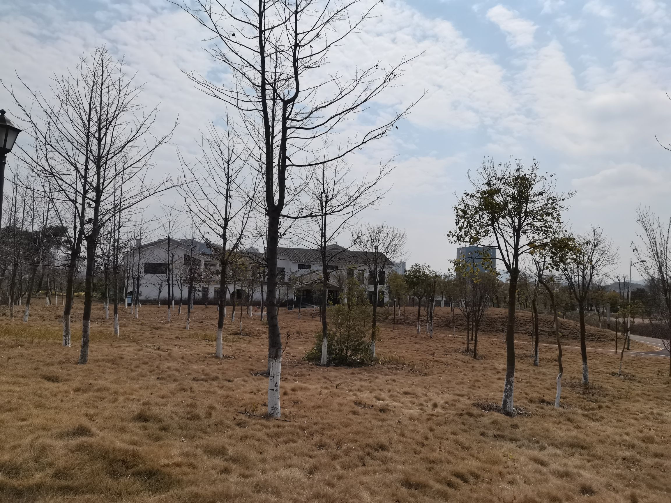 锦绣生态园绿道旅行图片 2