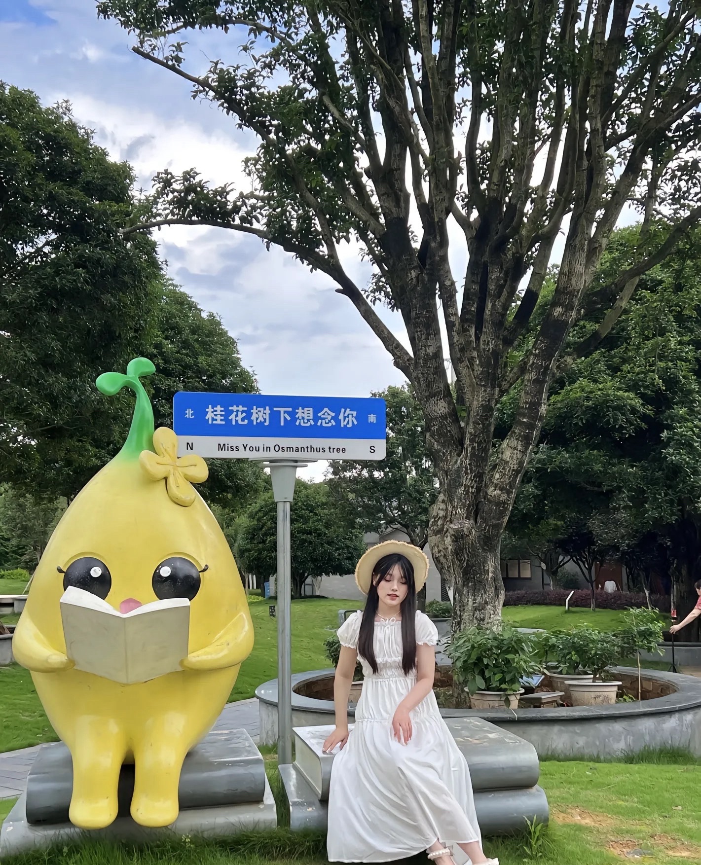 桂花公社景区旅行图片 2