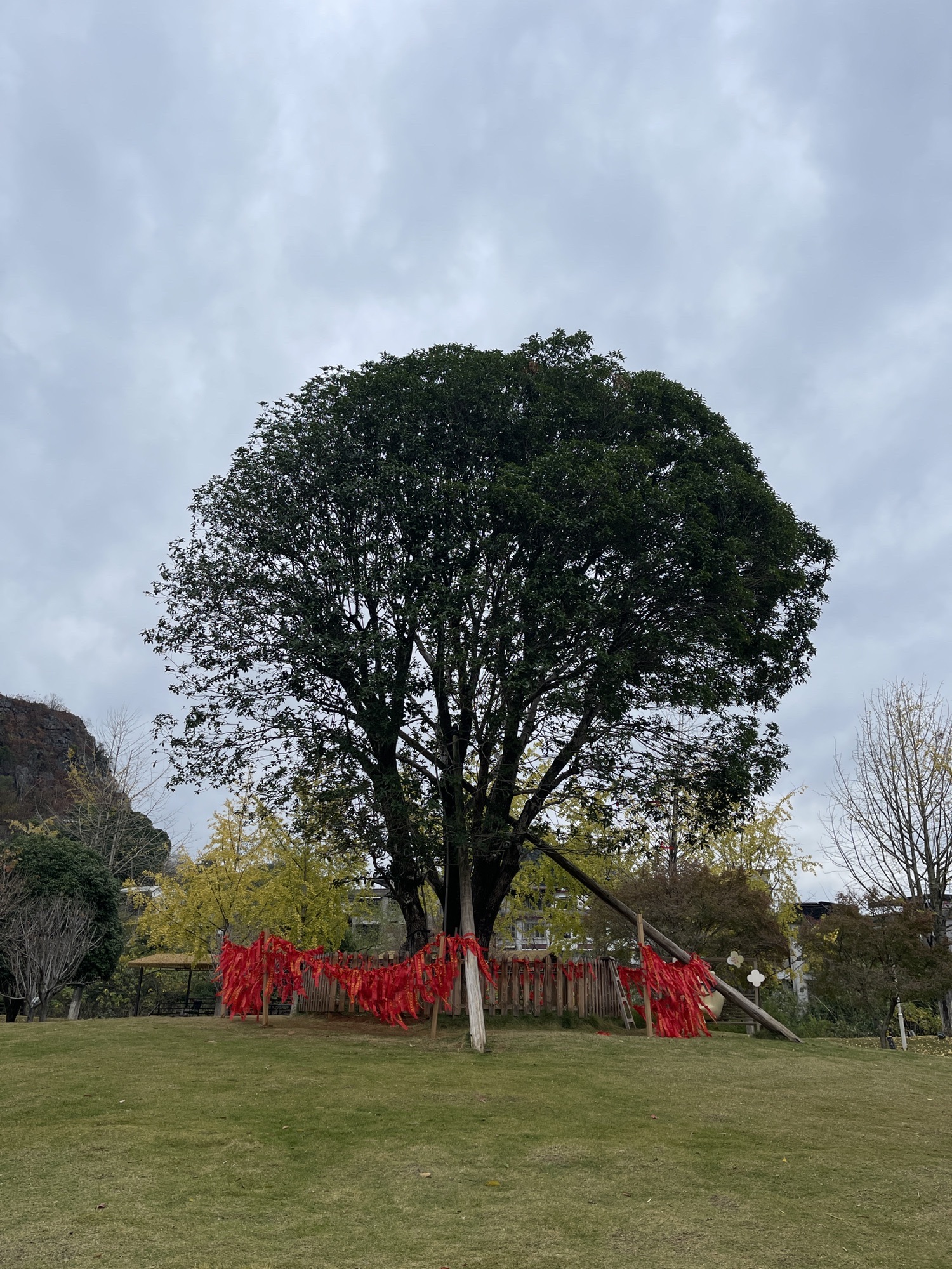 桂花公社景区旅行图片 1