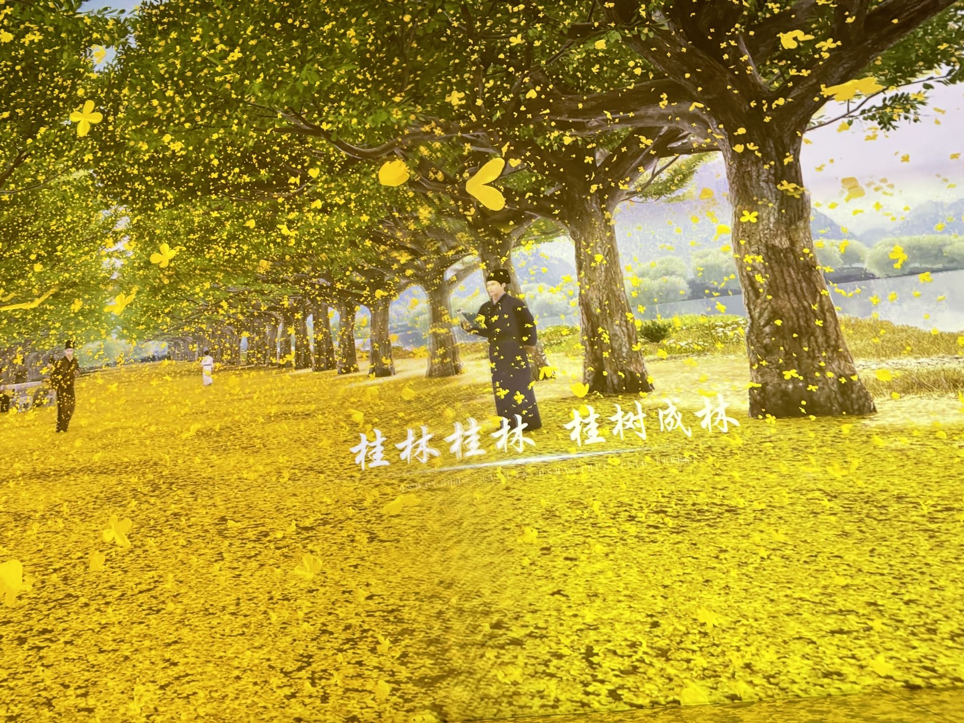 桂花公社景区旅行图片 1
