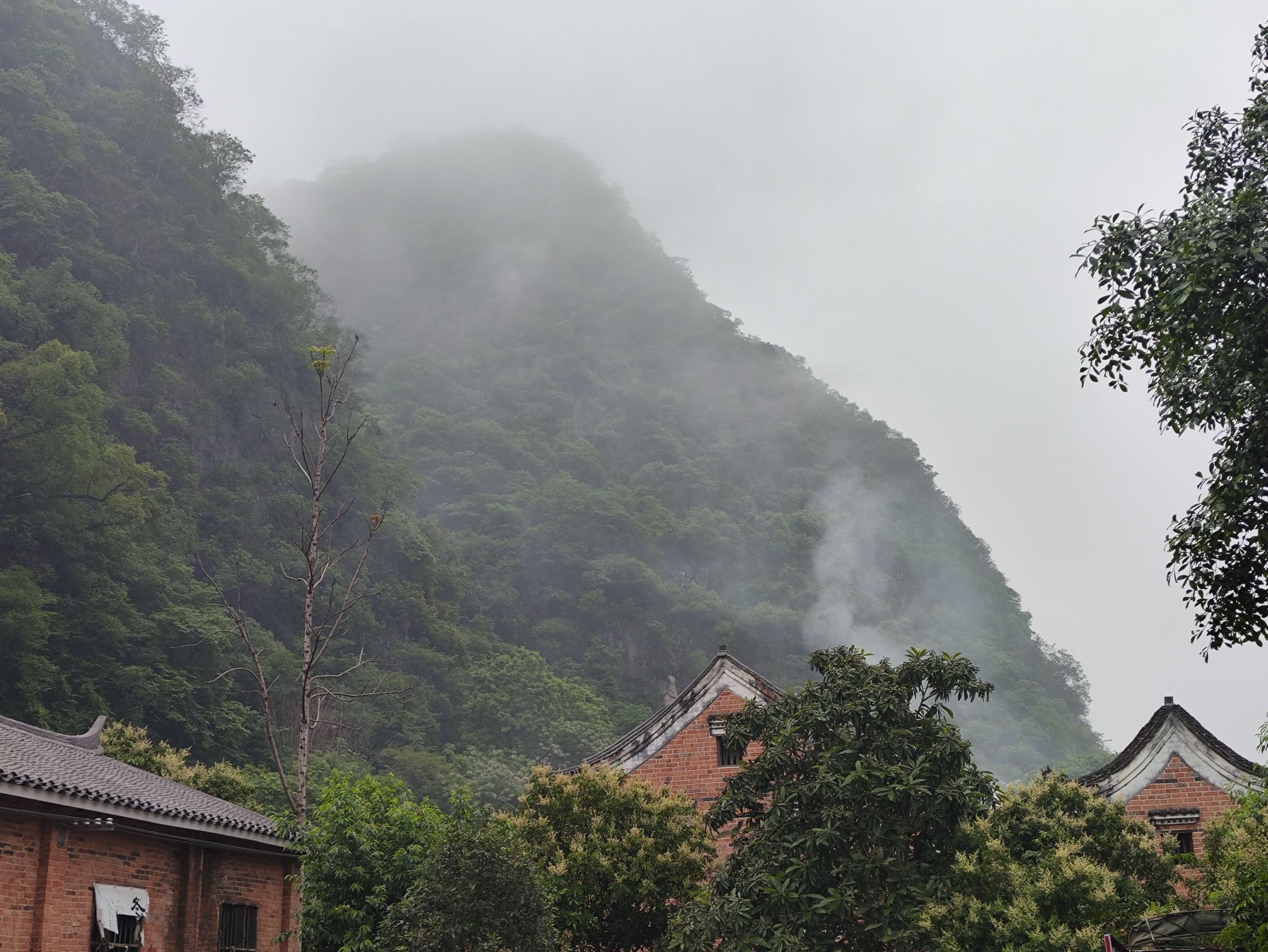 荷塘乡村旅游区旅行图片 2