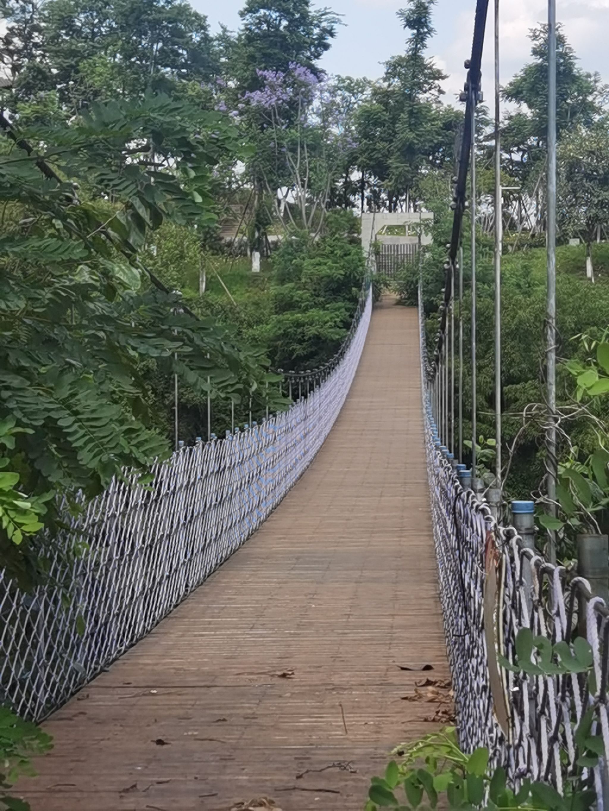 白塔公园旅行图片 1