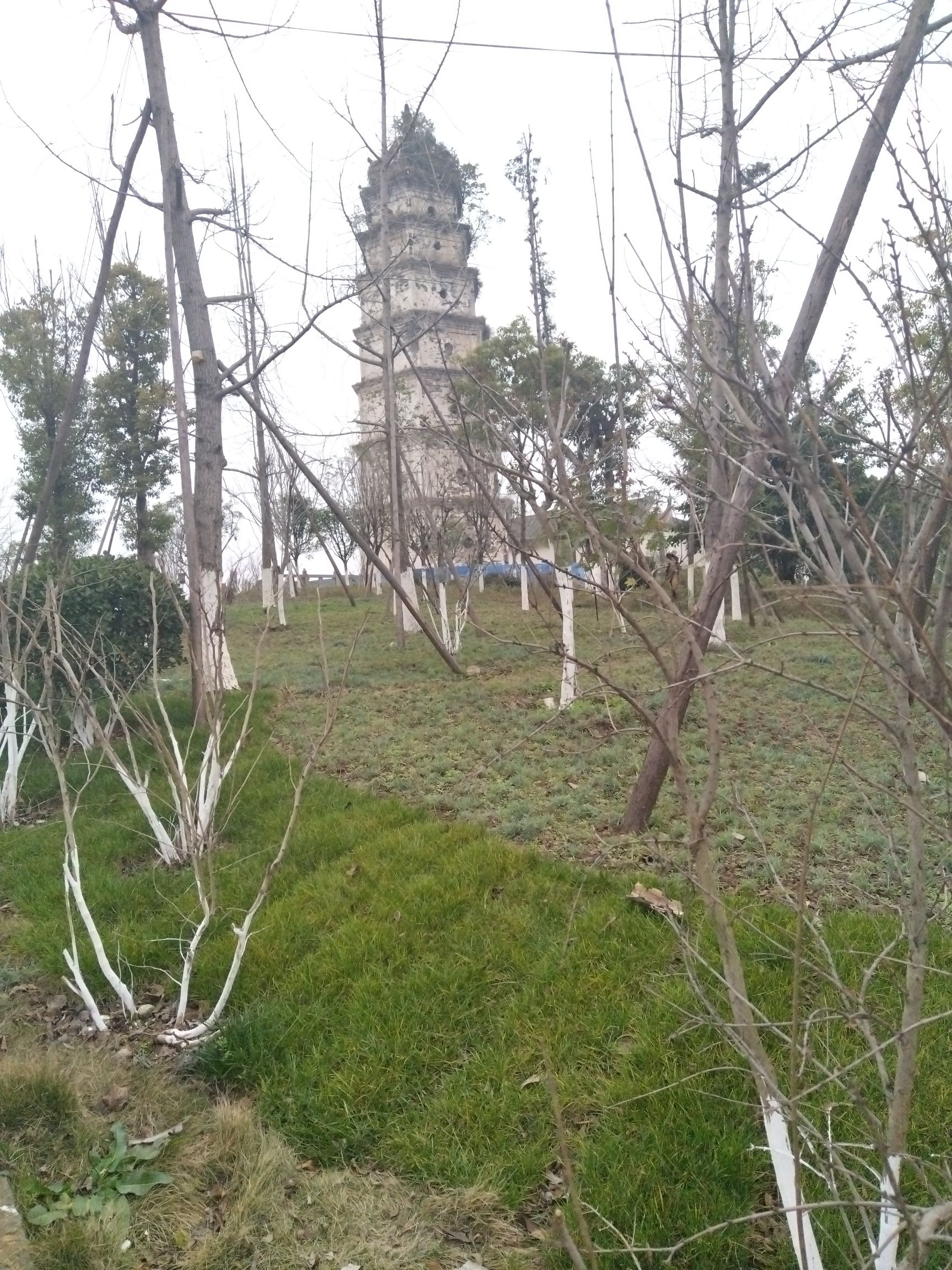 白塔公园旅行图片 3