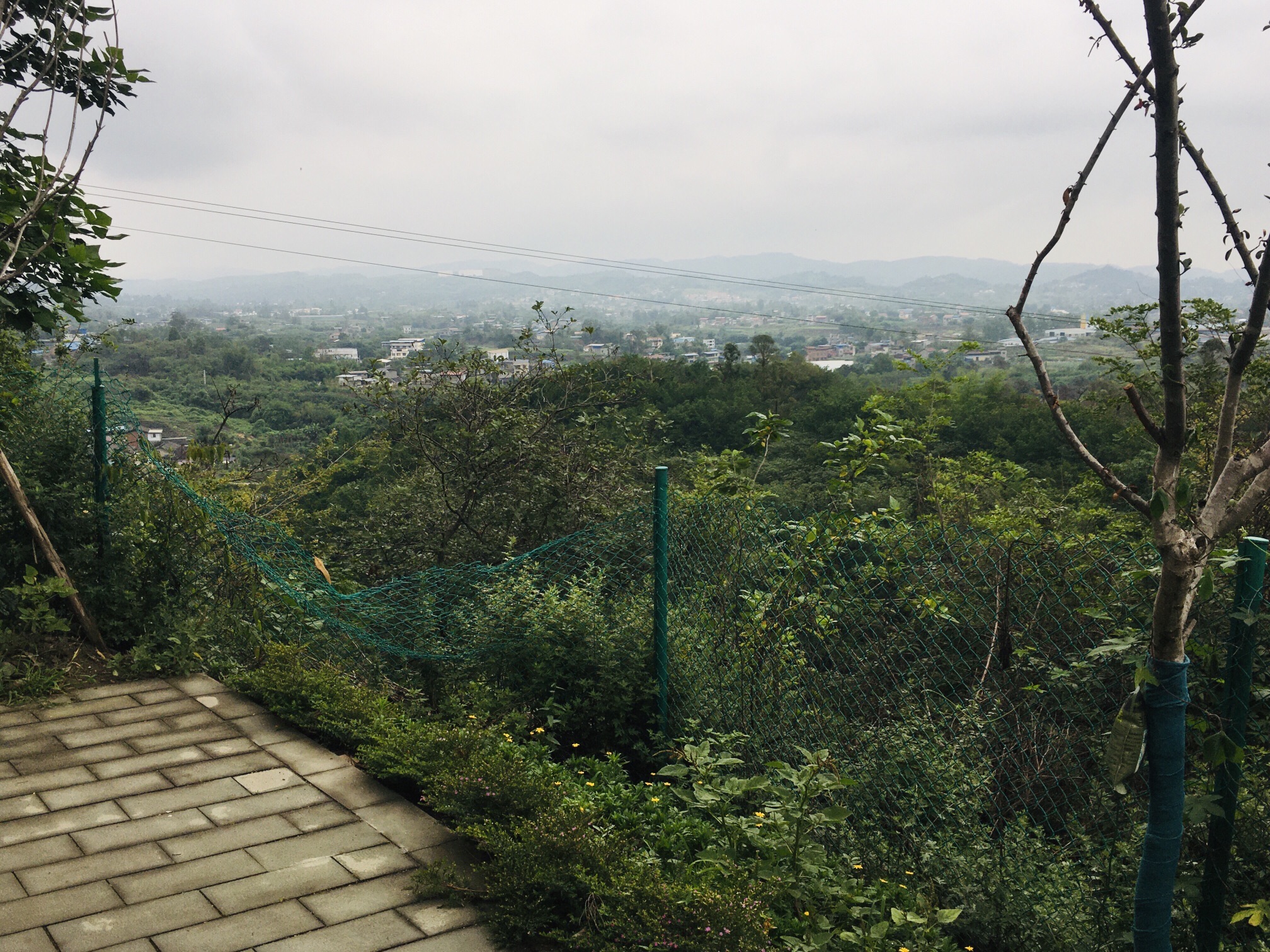 白塔公园旅行图片 3