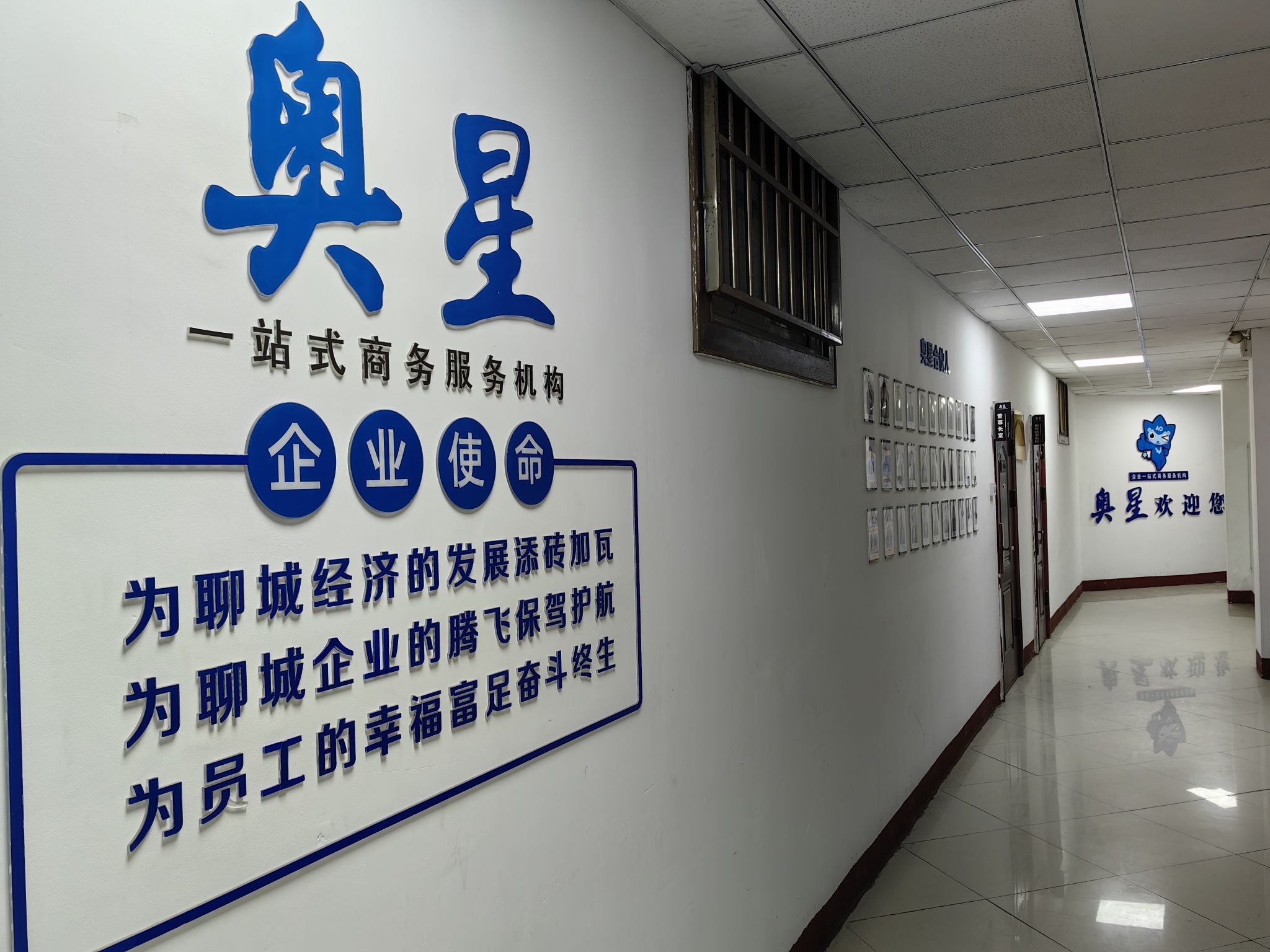 聊城市奥星商务服务有限公司