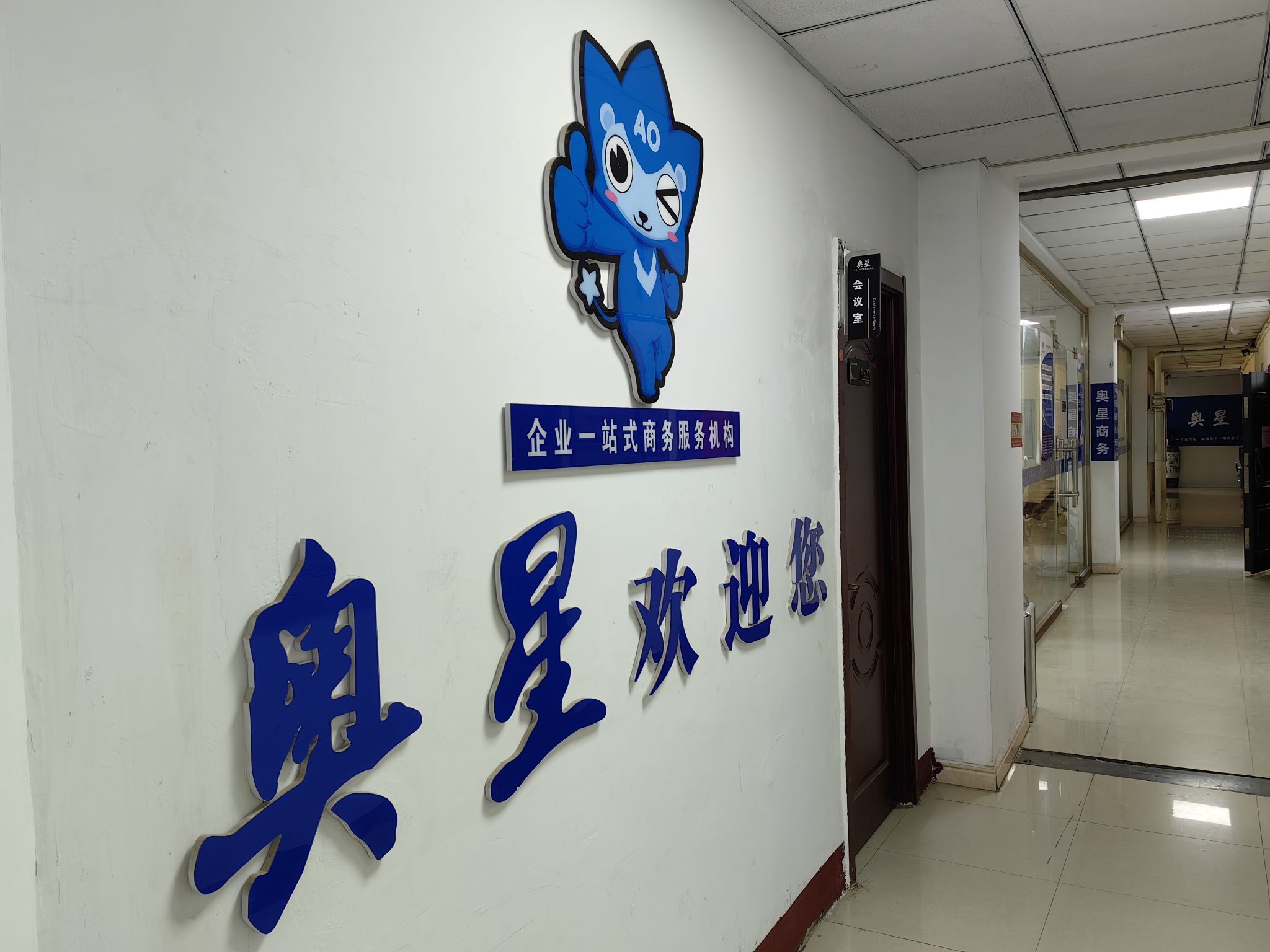 聊城市奥星商务服务有限公司