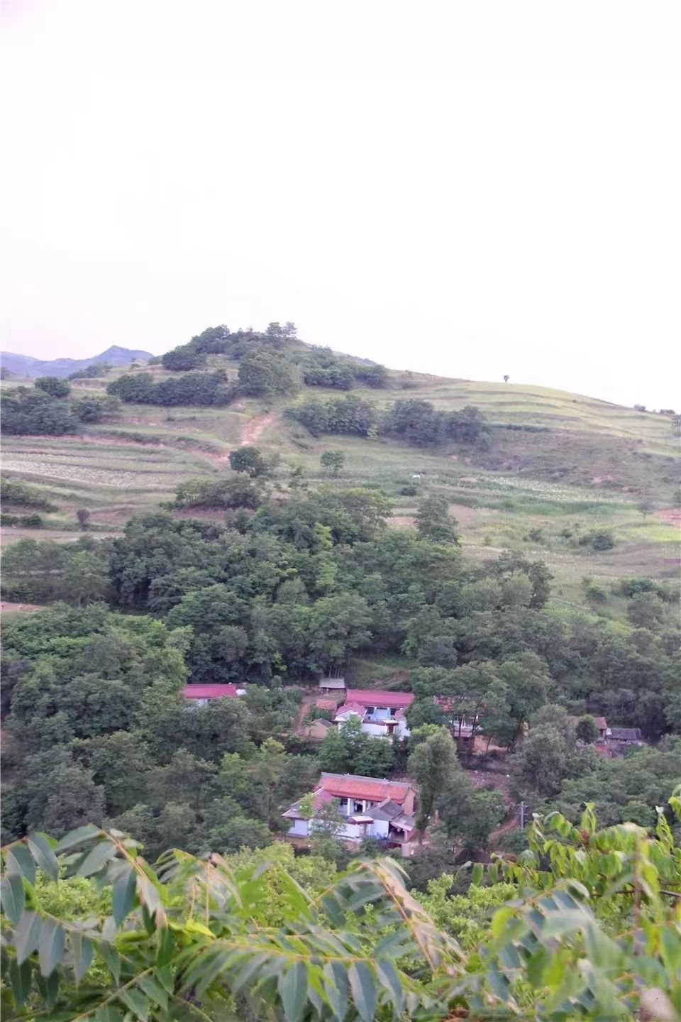 十二连城王家堡
