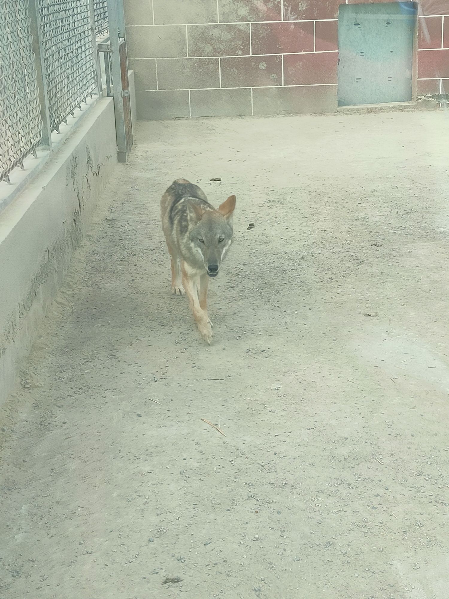 潇河动物园旅行图片 2