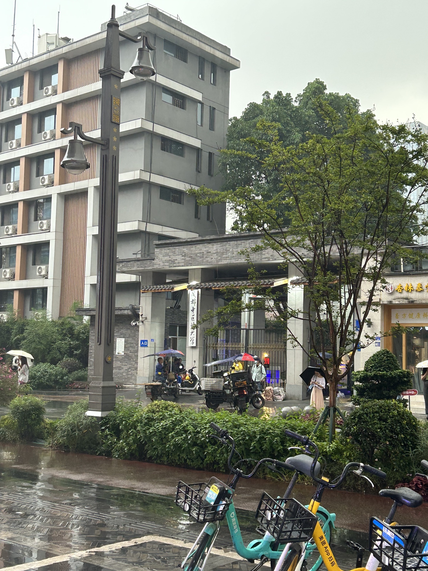 成都市枣子巷景区旅行图片 2