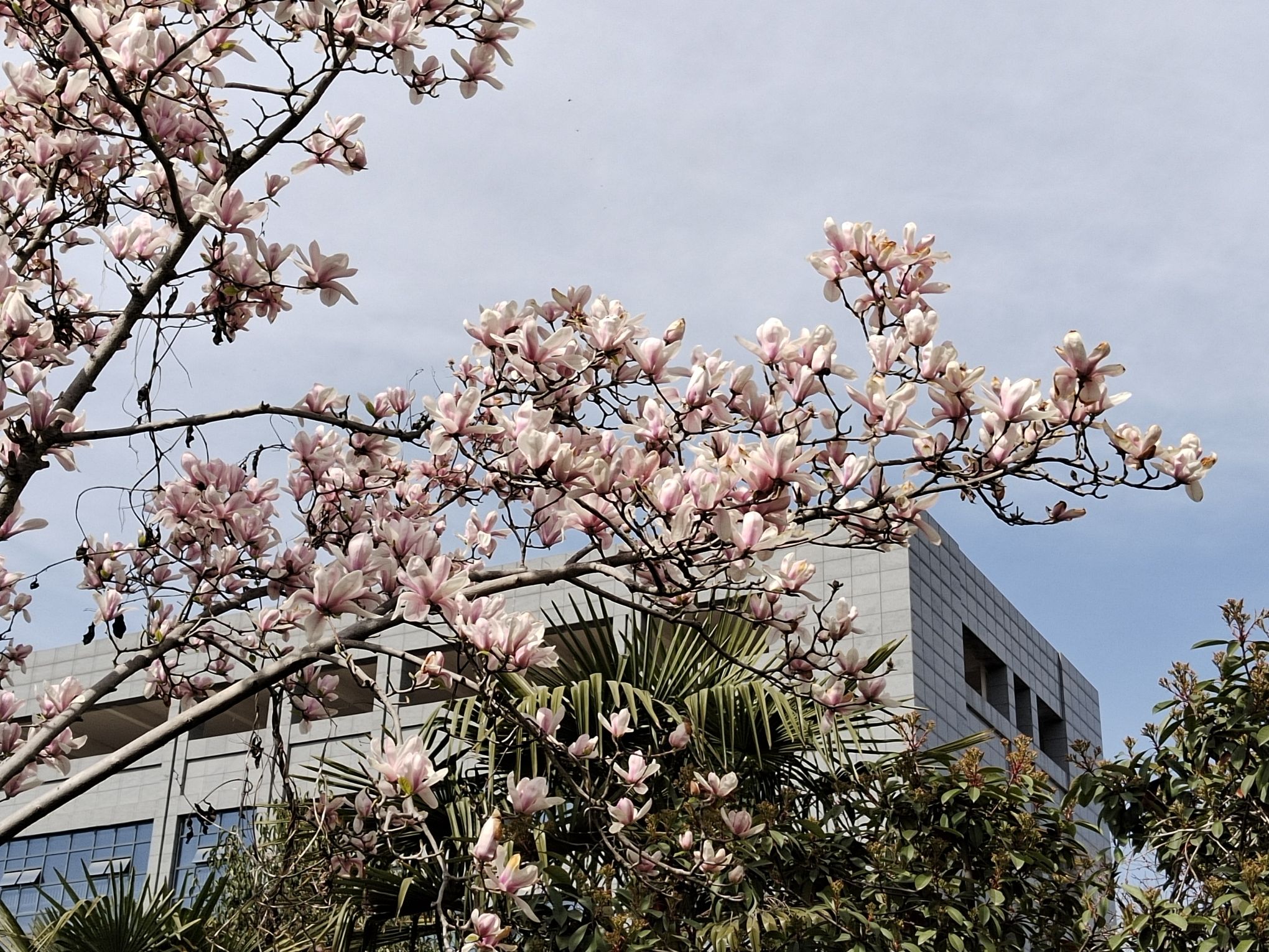 龙亢农场景区旅行图片 2