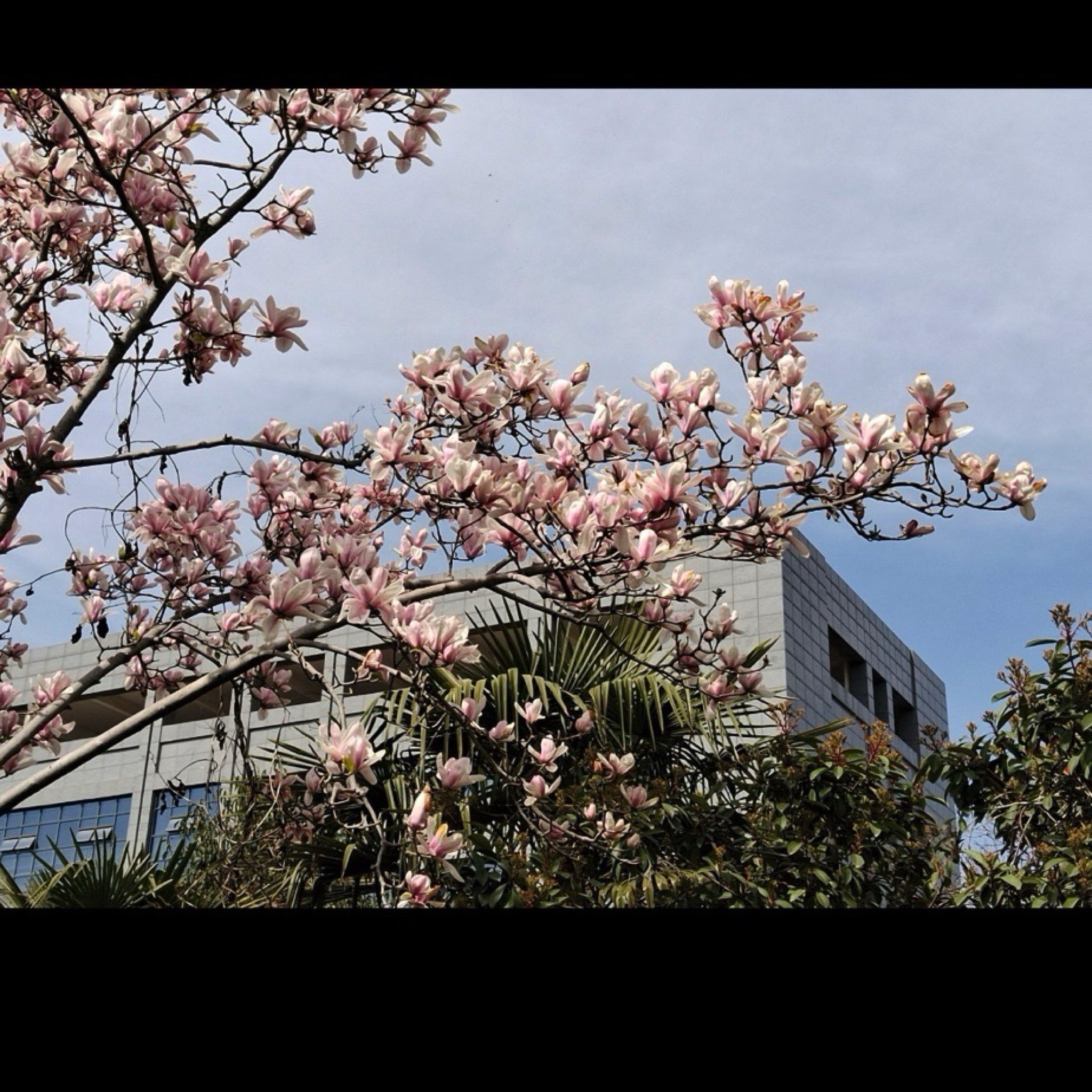 龙亢农场景区旅行图片 2