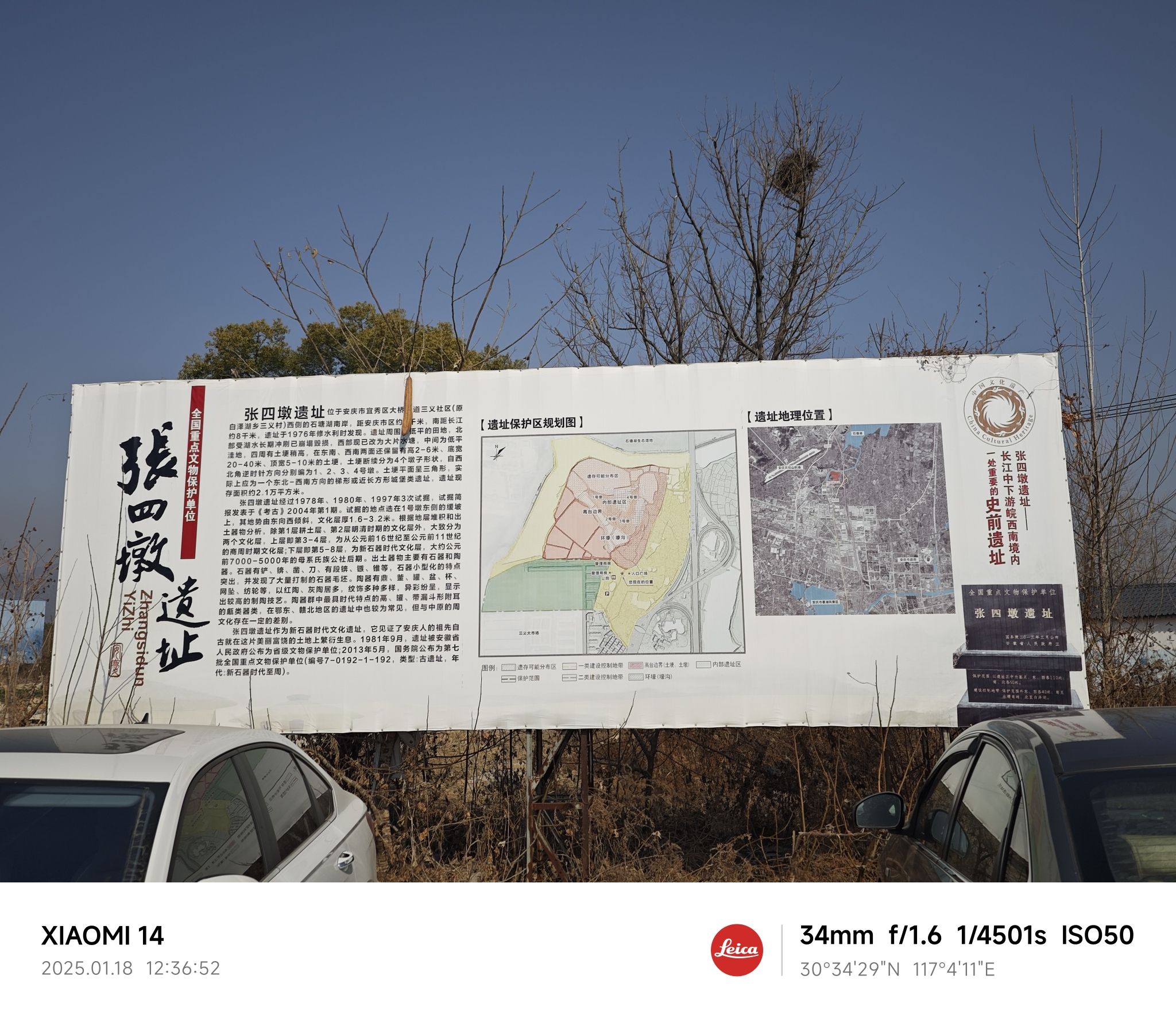 张四墩遗址旅行图片 3