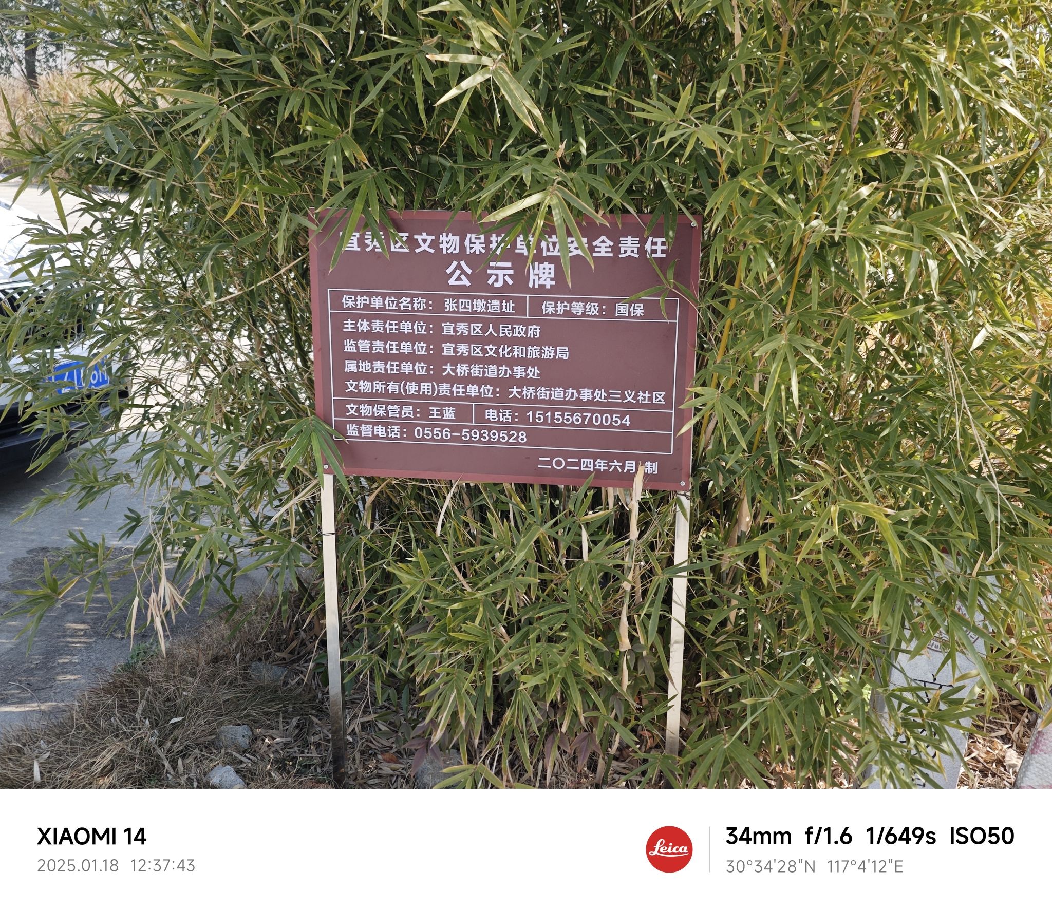 张四墩遗址旅行图片 2