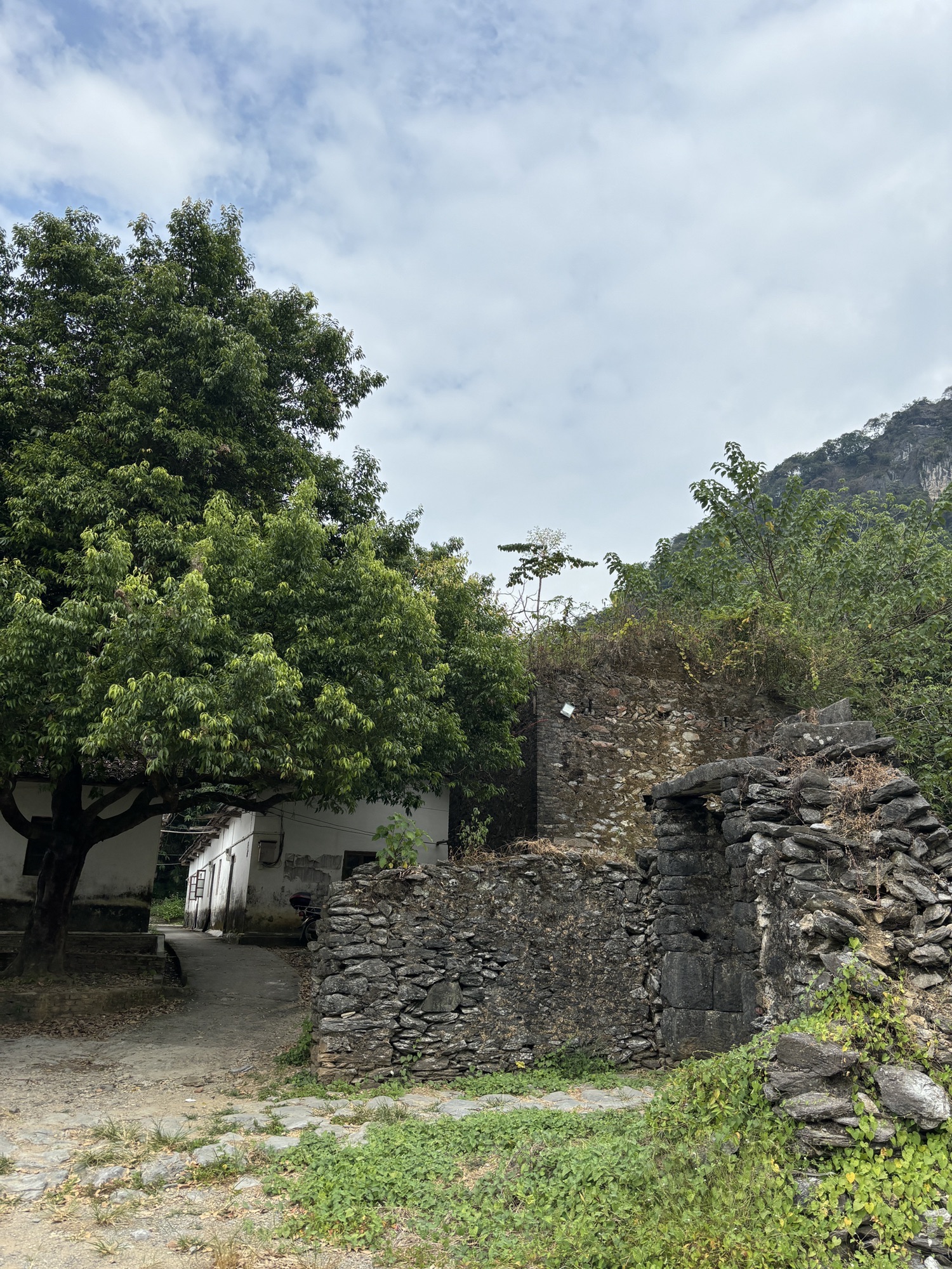 积庆里古遗址旅行图片 2