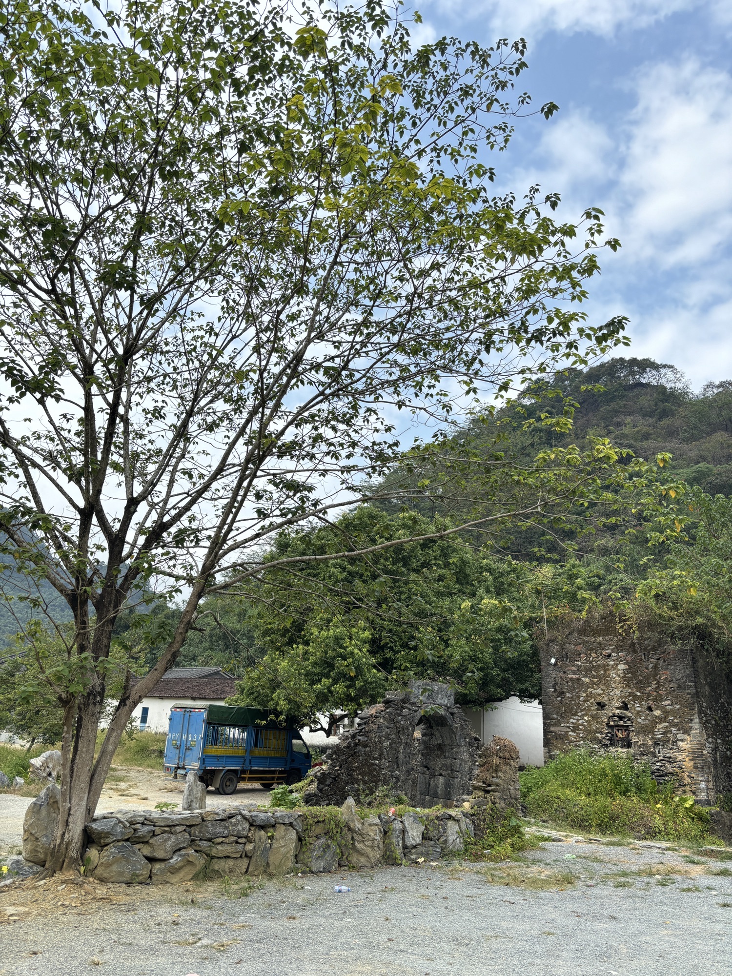 积庆里古遗址旅行图片 1