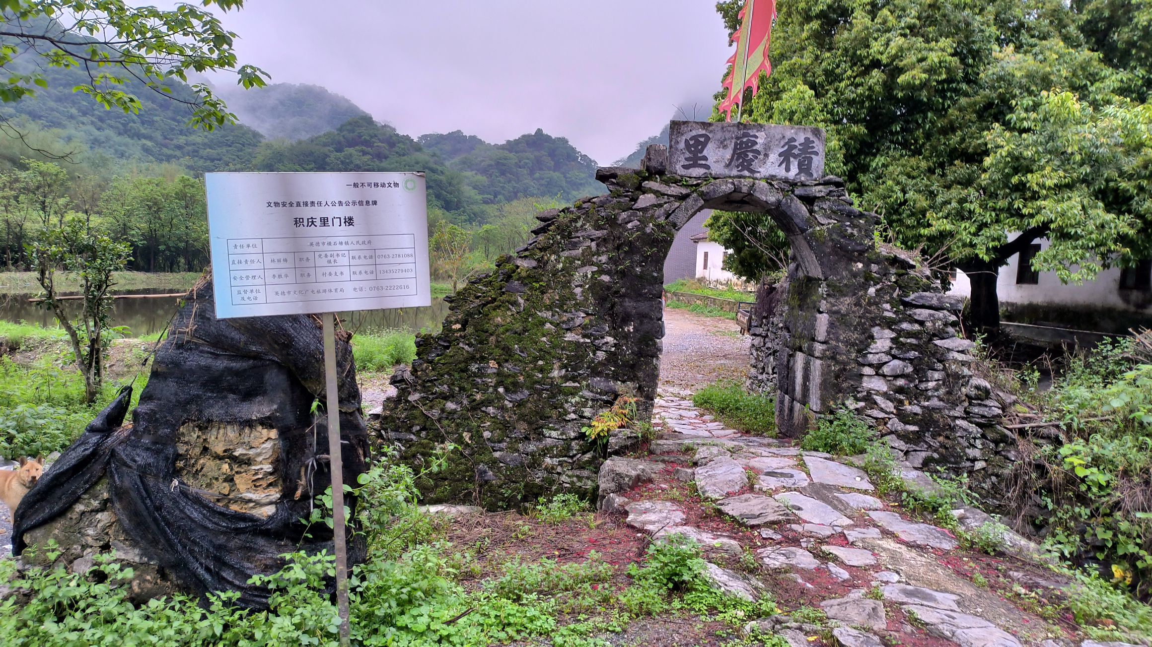 积庆里古遗址旅行图片 1