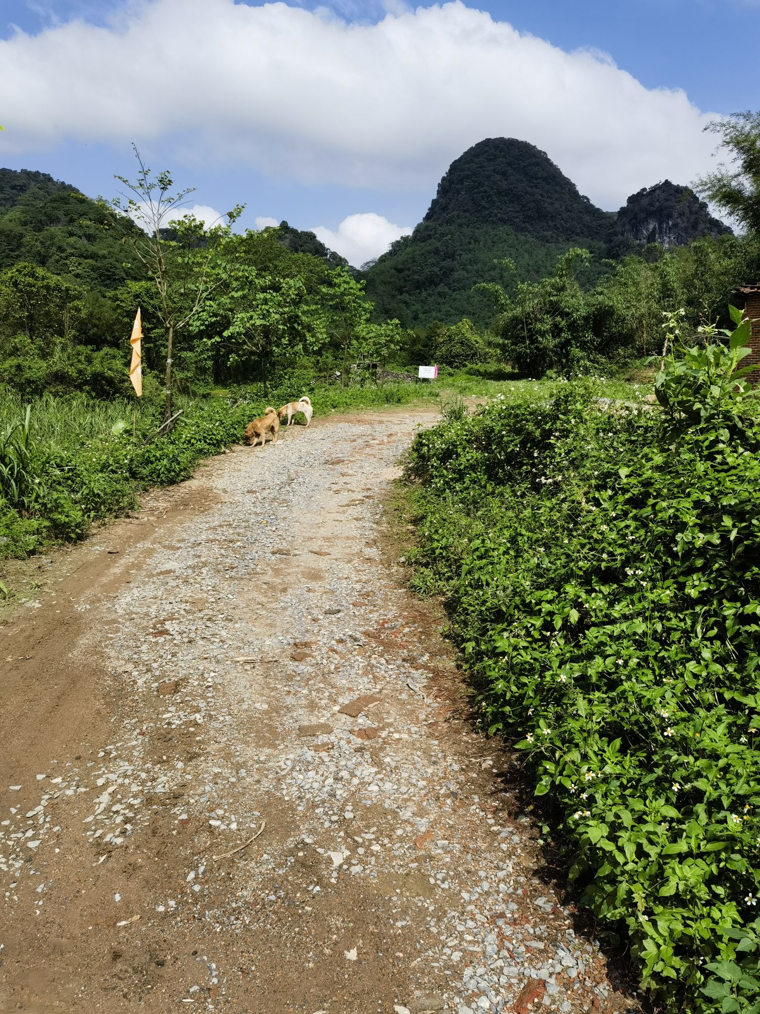积庆里古遗址旅行图片 2