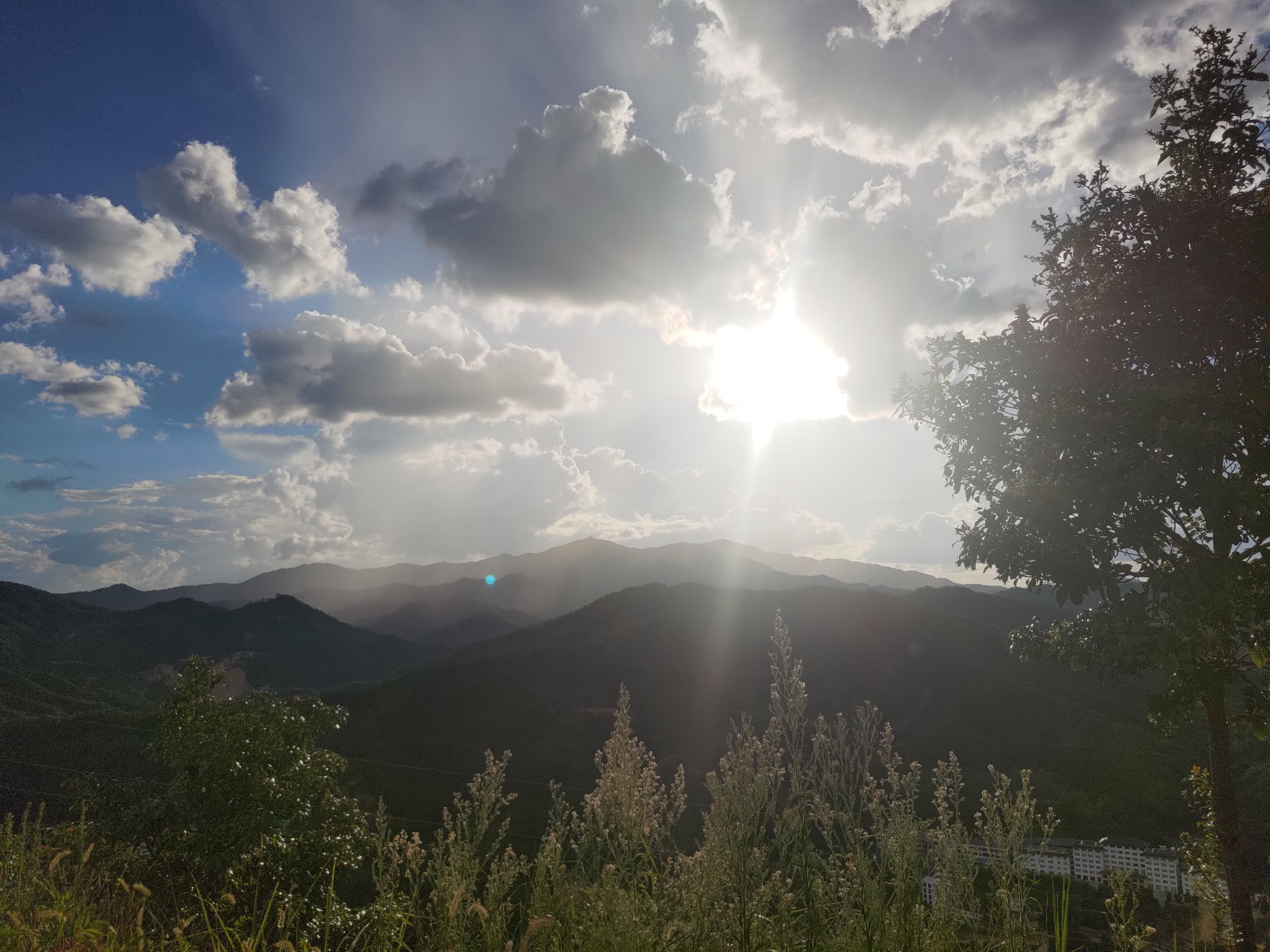 马兰山旅行图片 3