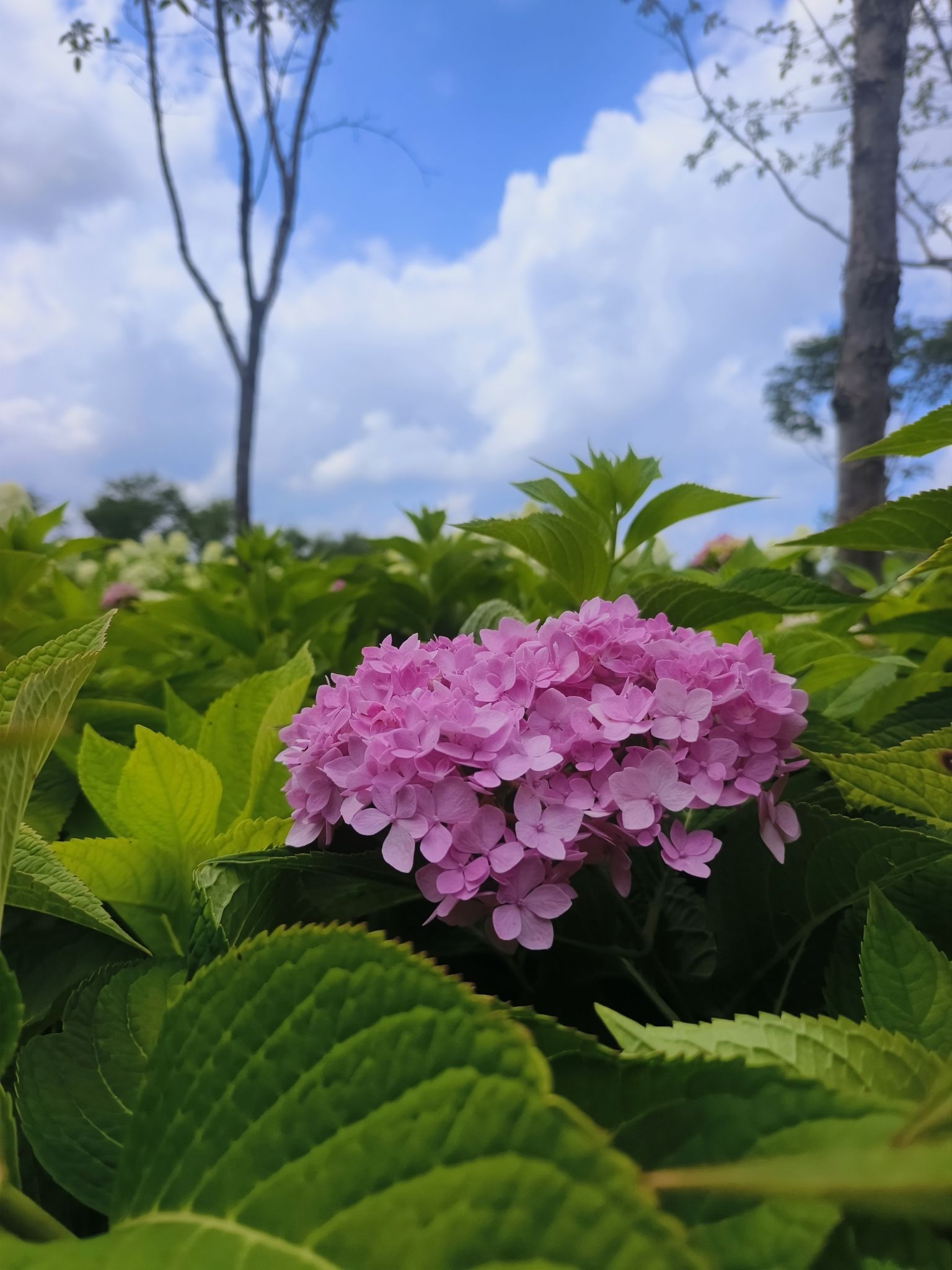福缘谷旅行图片 3