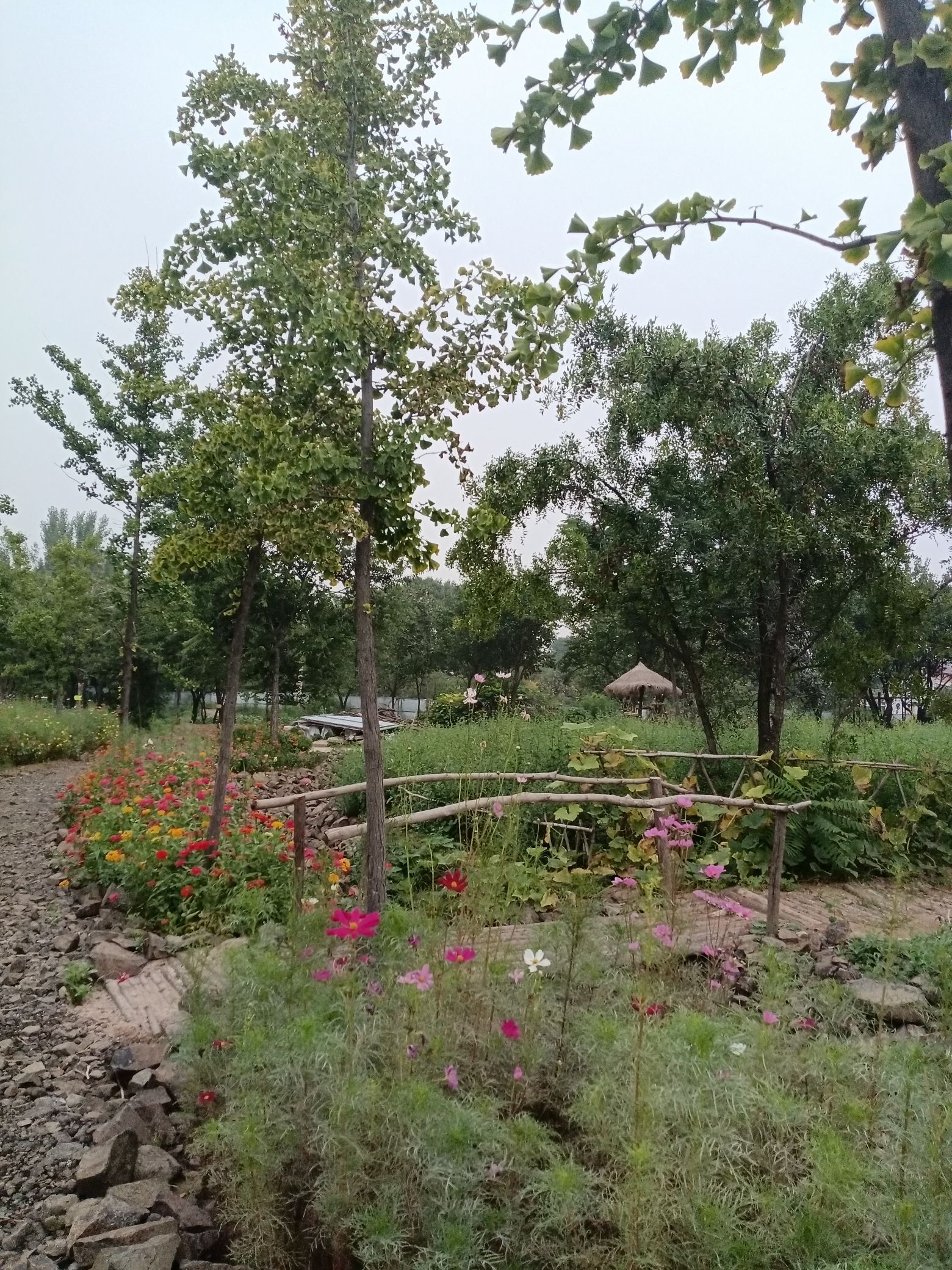 福缘谷旅行图片 1