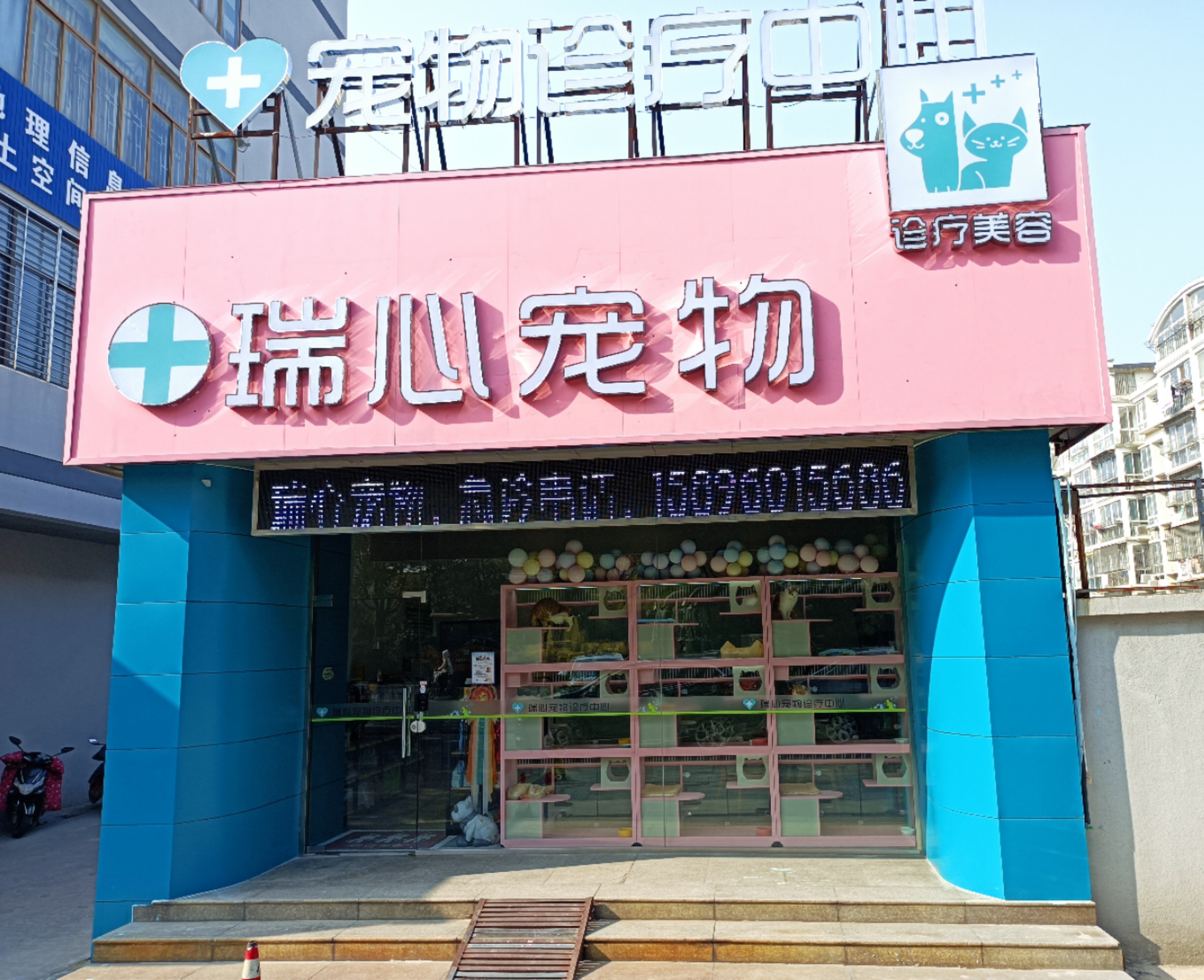 江苏泰州市海陵区附近的宠物医院有哪些？