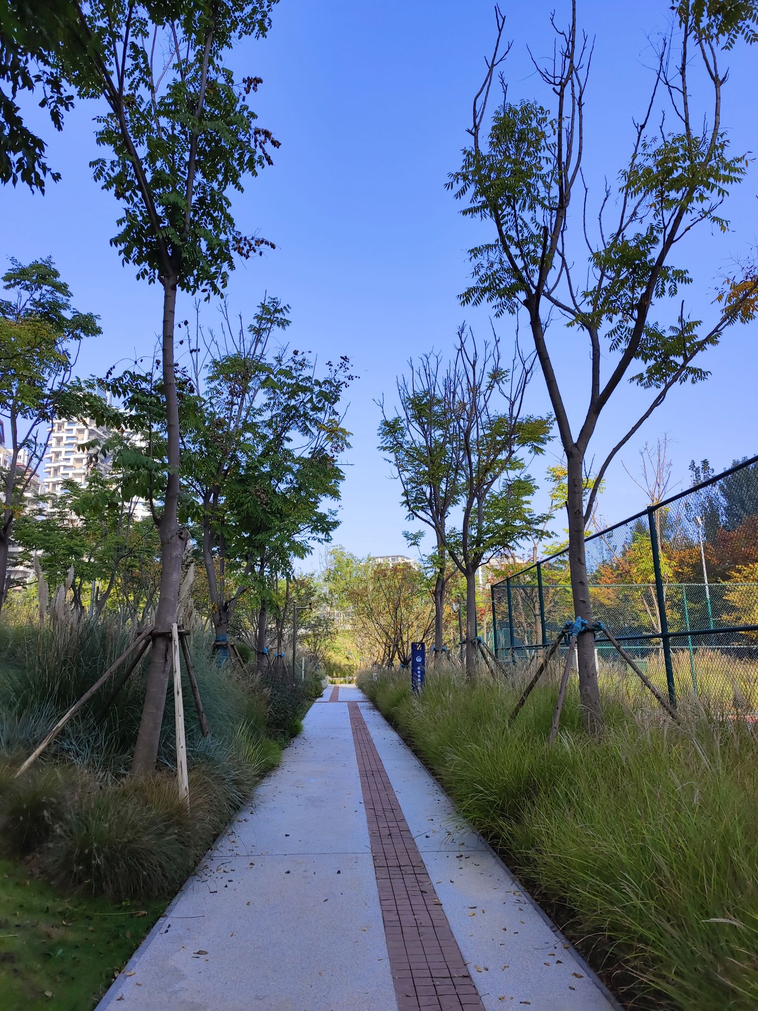 麓湖生态城红石公园旅行图片 2
