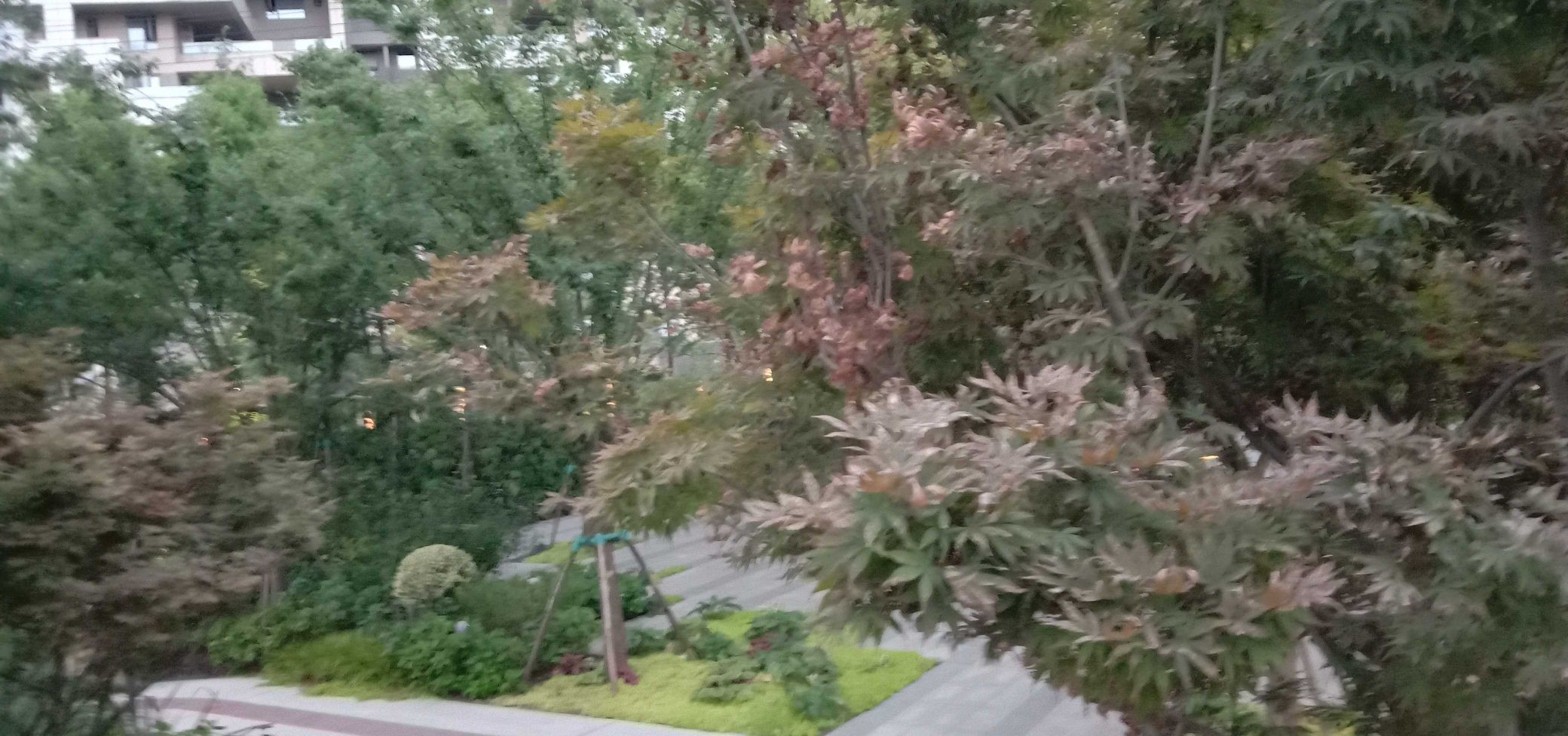 麓湖生态城红石公园旅行图片 2