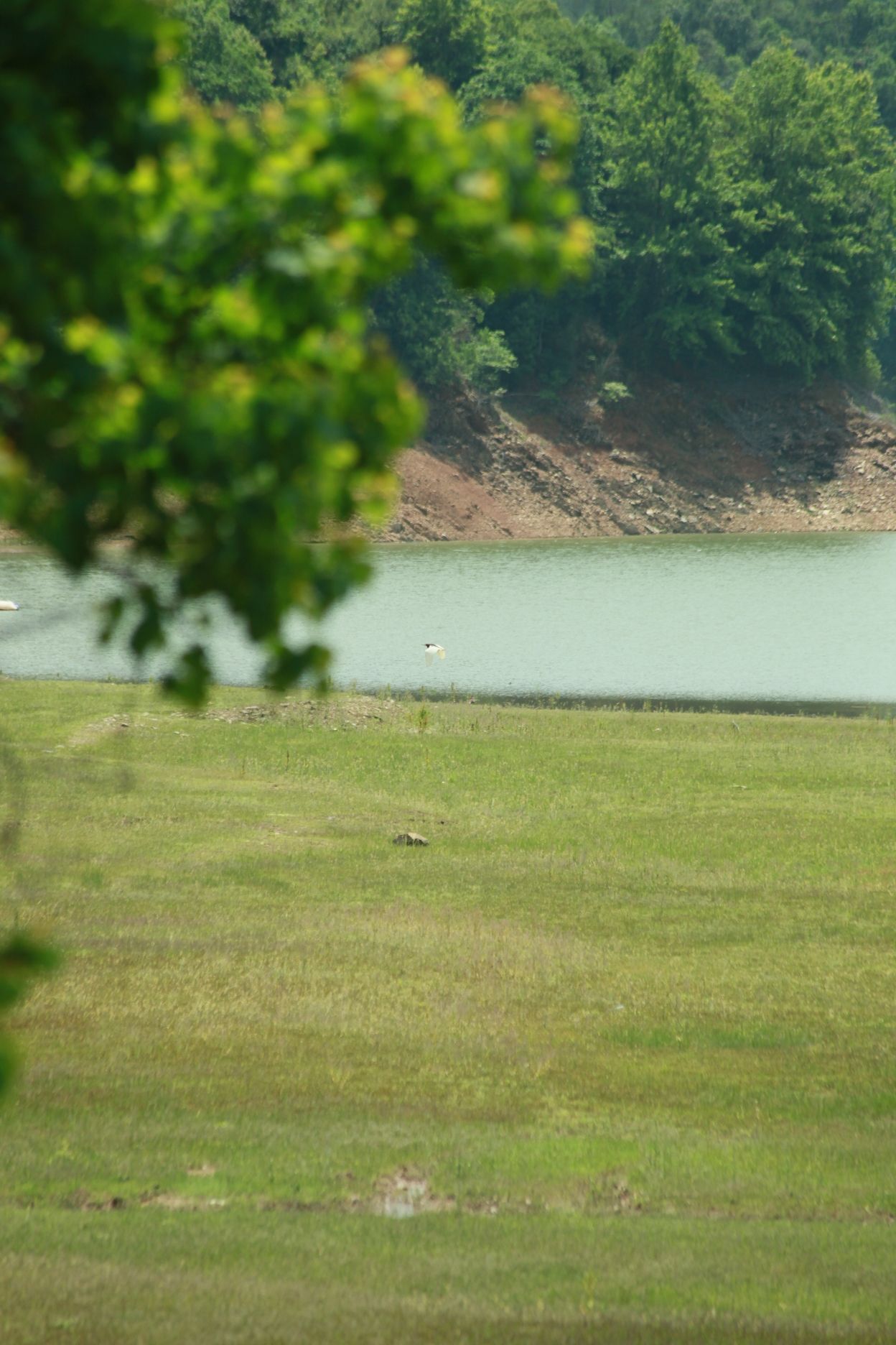 三宝太阳谷户外露营基地