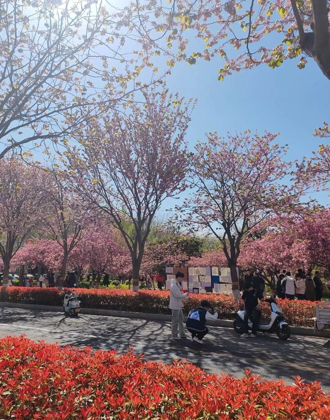 鹤壁市体育公园
