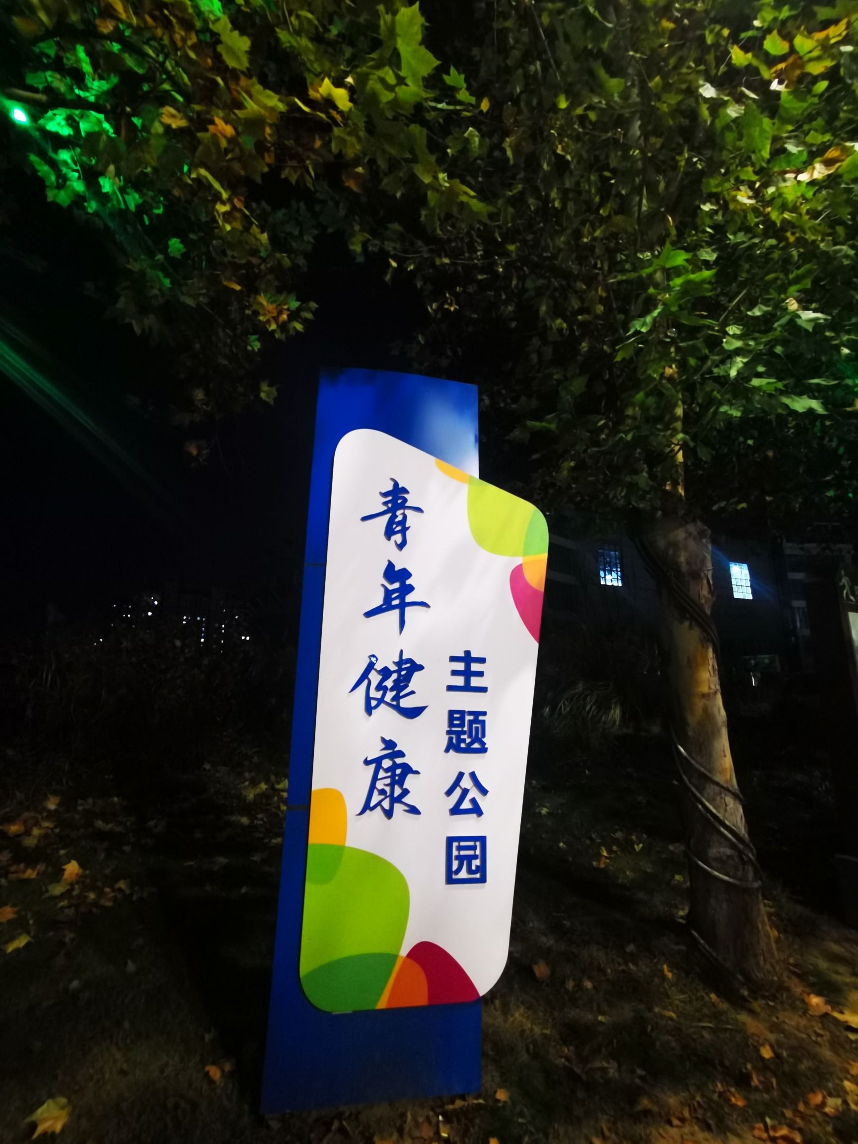 鹤壁市体育公园旅行图片 3