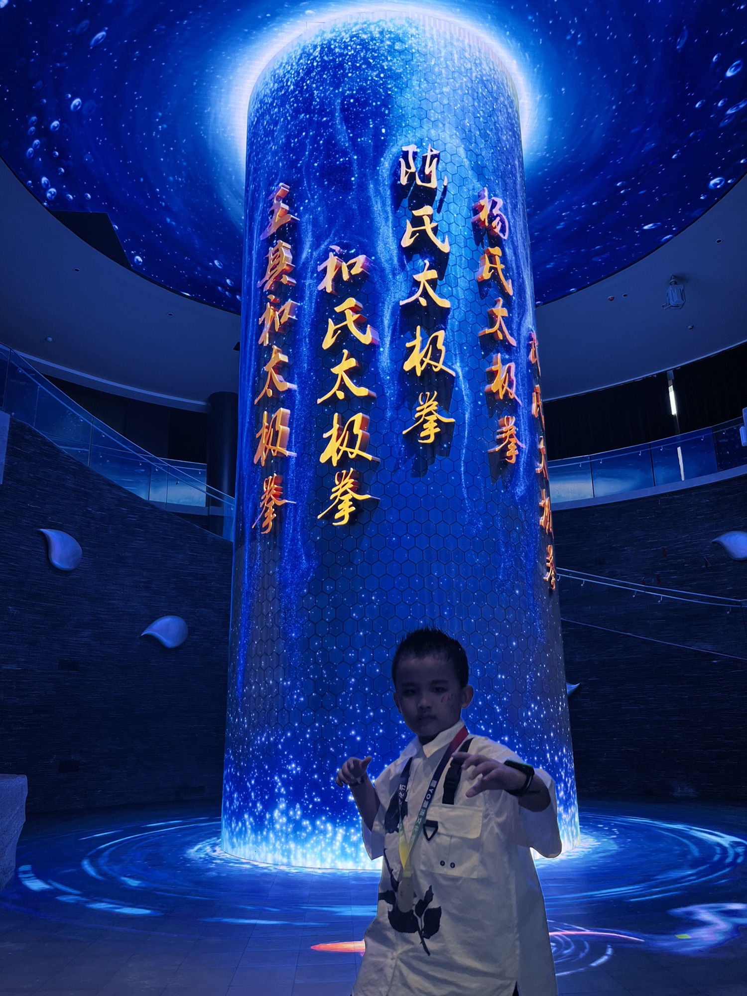 太极全域剧场旅行图片 3