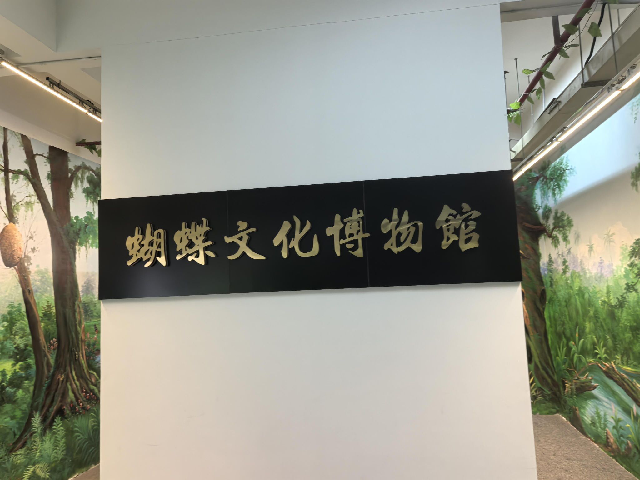 厦门蝴蝶文化博物馆