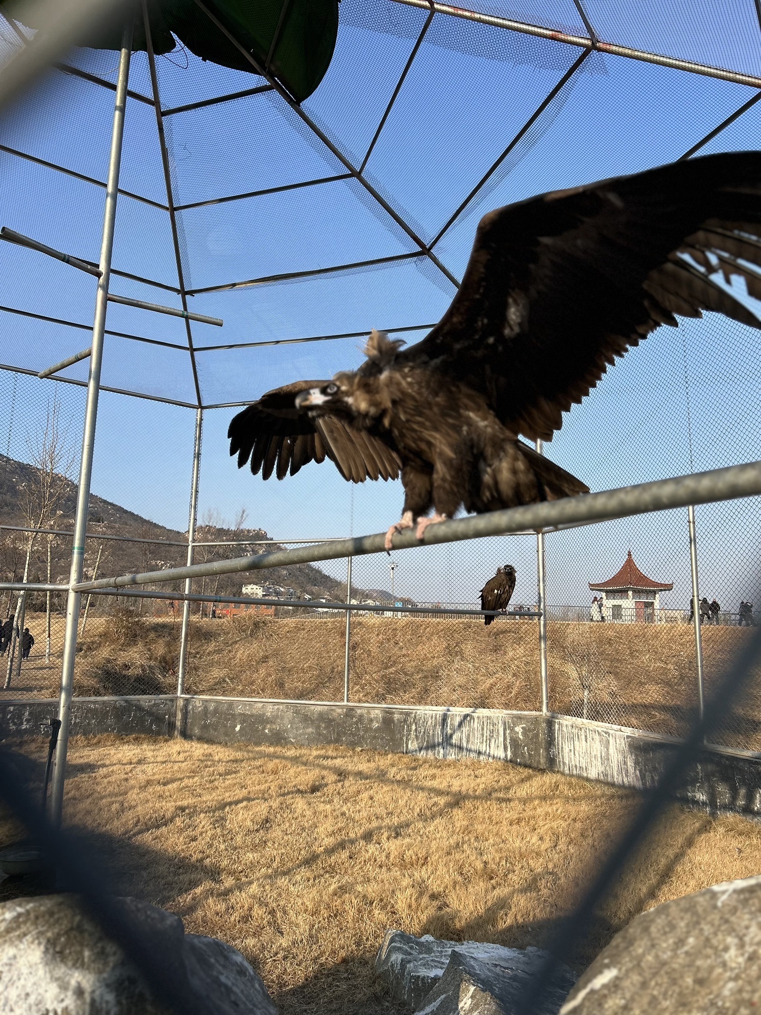 滕州市野生动物园旅行图片 3