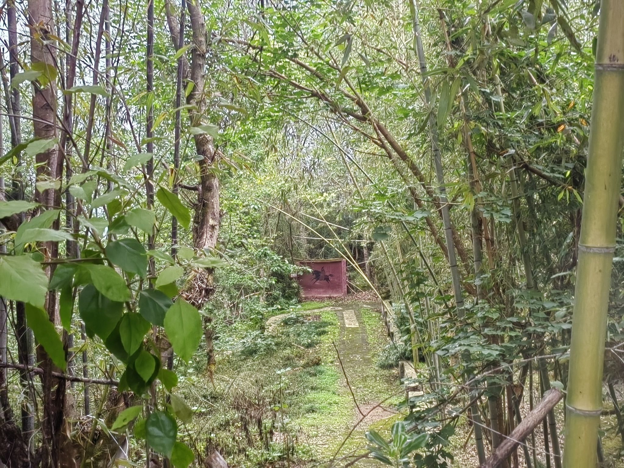 贾家寨风景区旅行图片 1