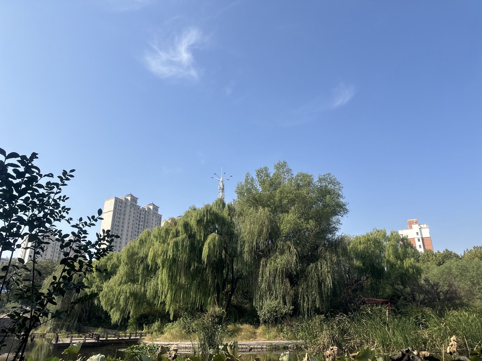 初心党建主题公园旅行图片 3