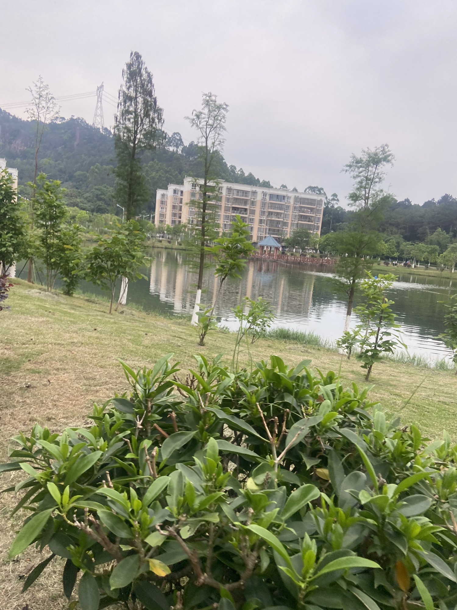 玉林师范学院(东校区)-观景湖旅行图片 2