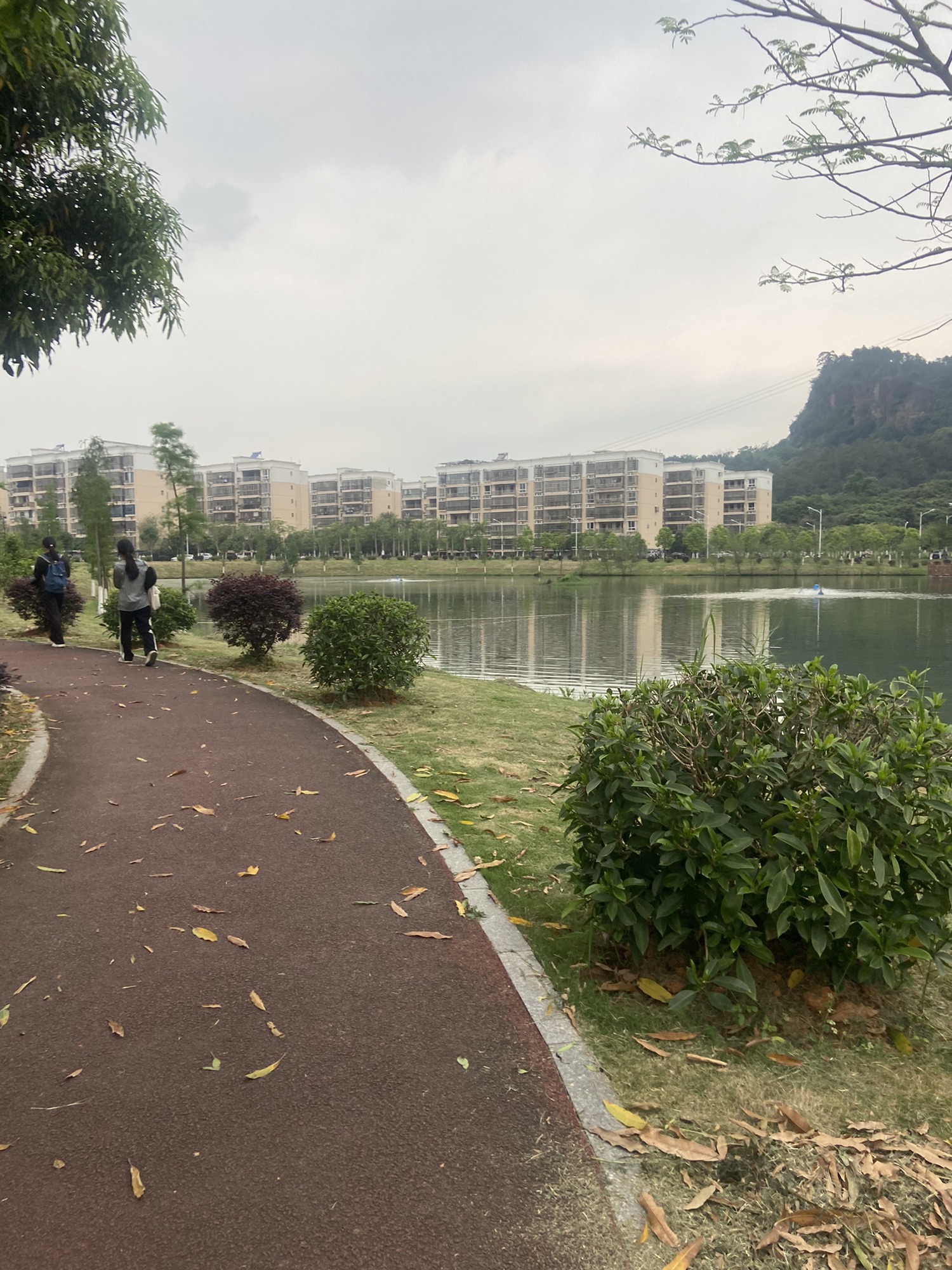 玉林师范学院(东校区)-观景湖旅行图片 3