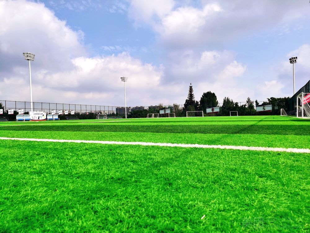 场地封面-星河运动公园-国标足球场