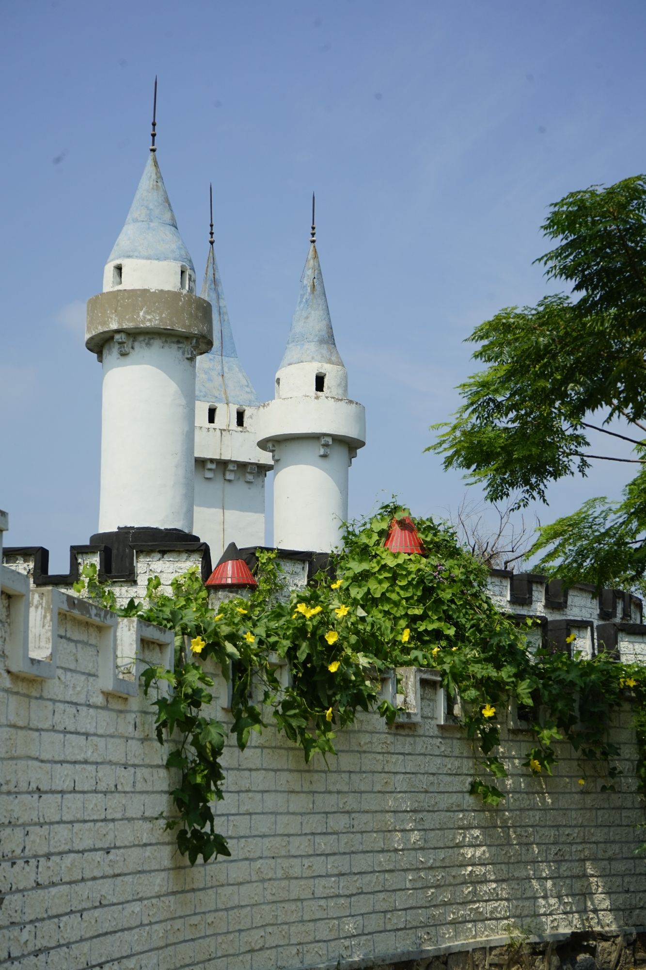 胜大公园旅行图片 1