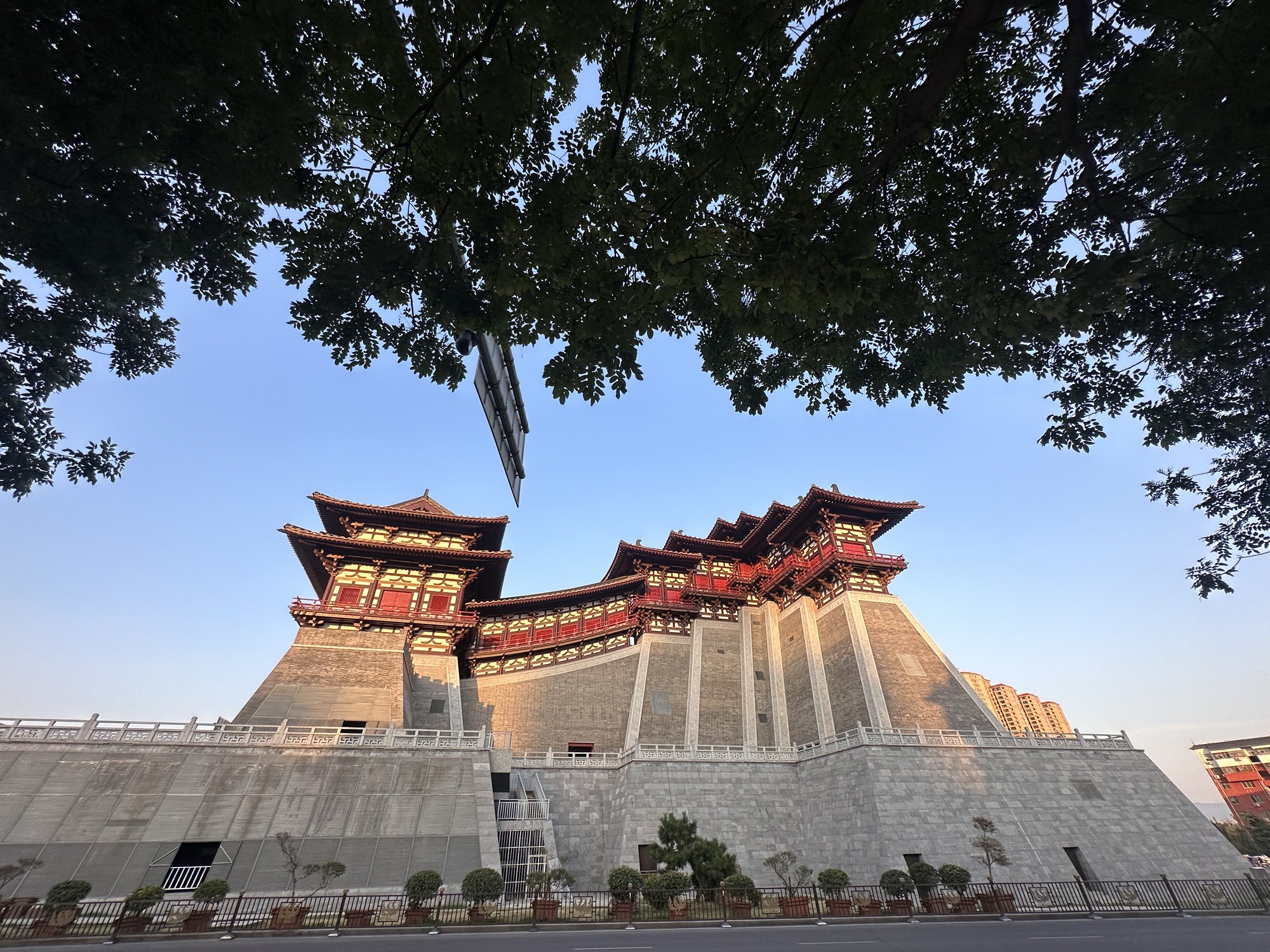 东遗址区旅行图片 2