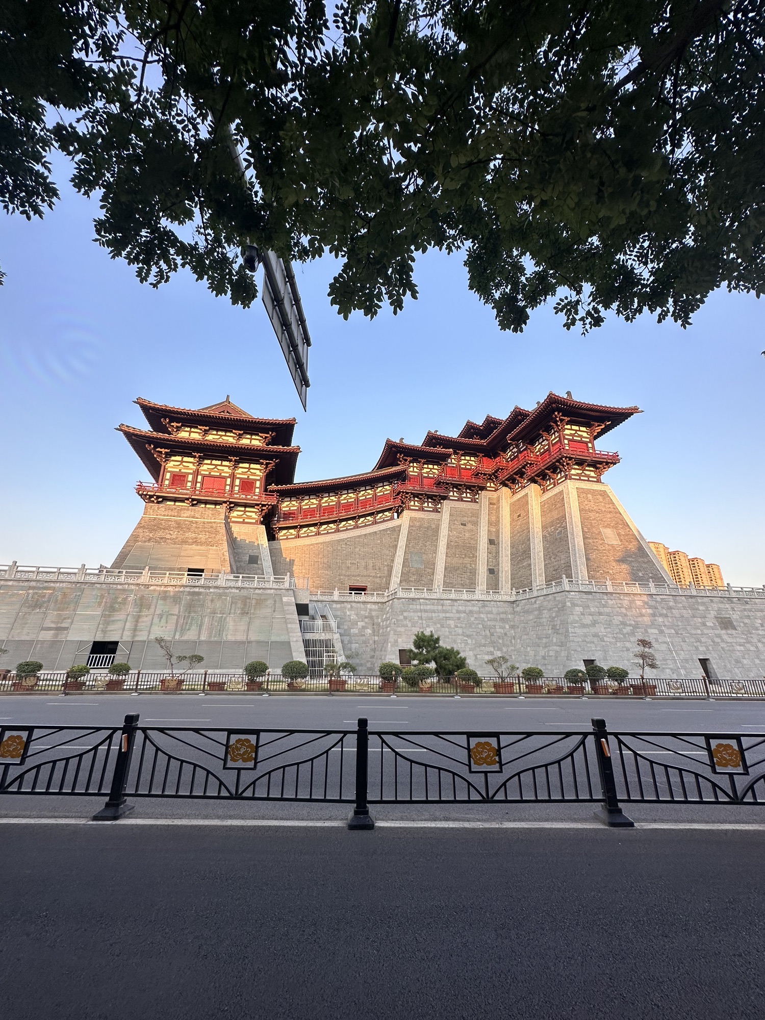 东遗址区旅行图片 1