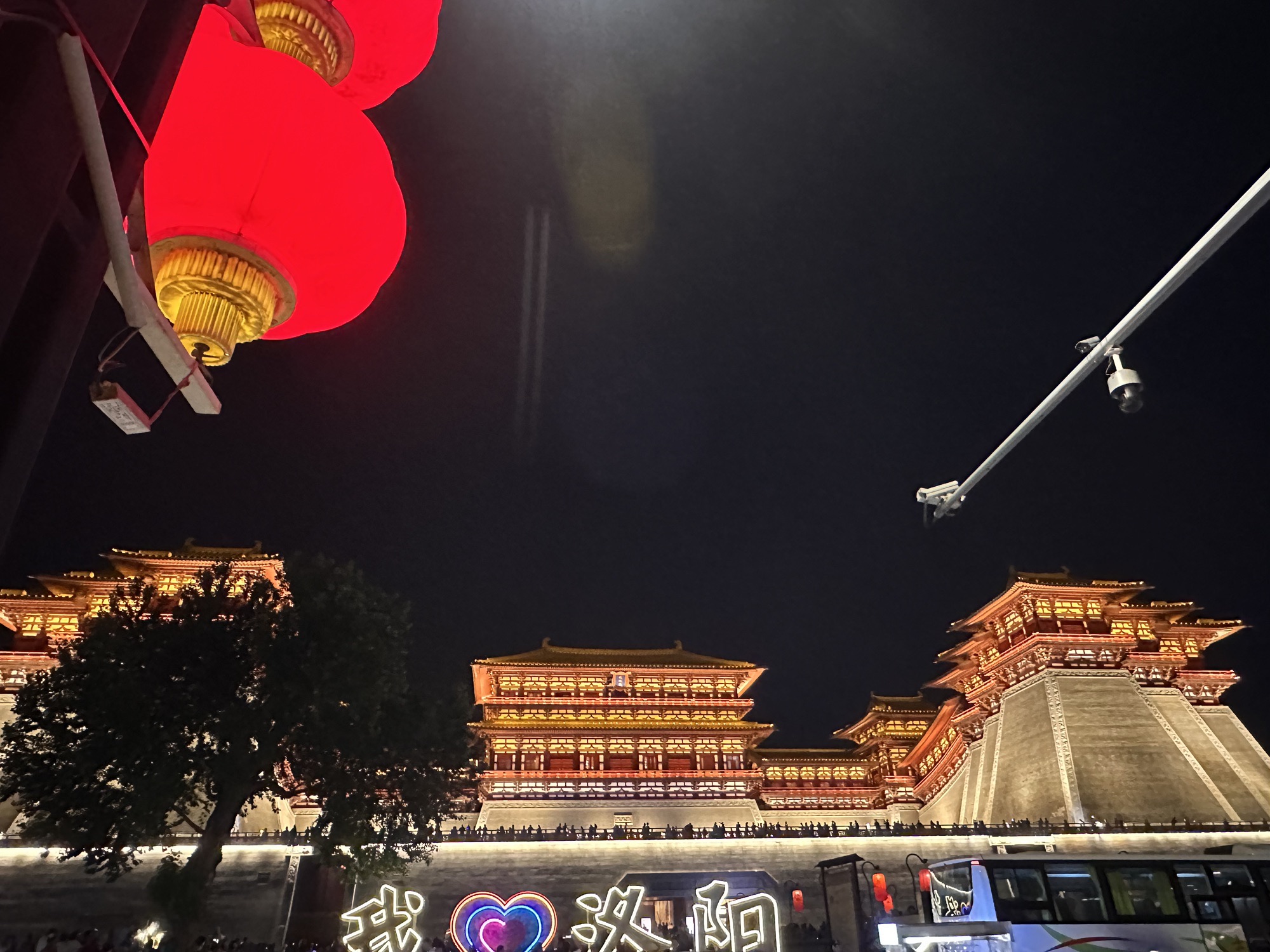 东遗址区旅行图片 3